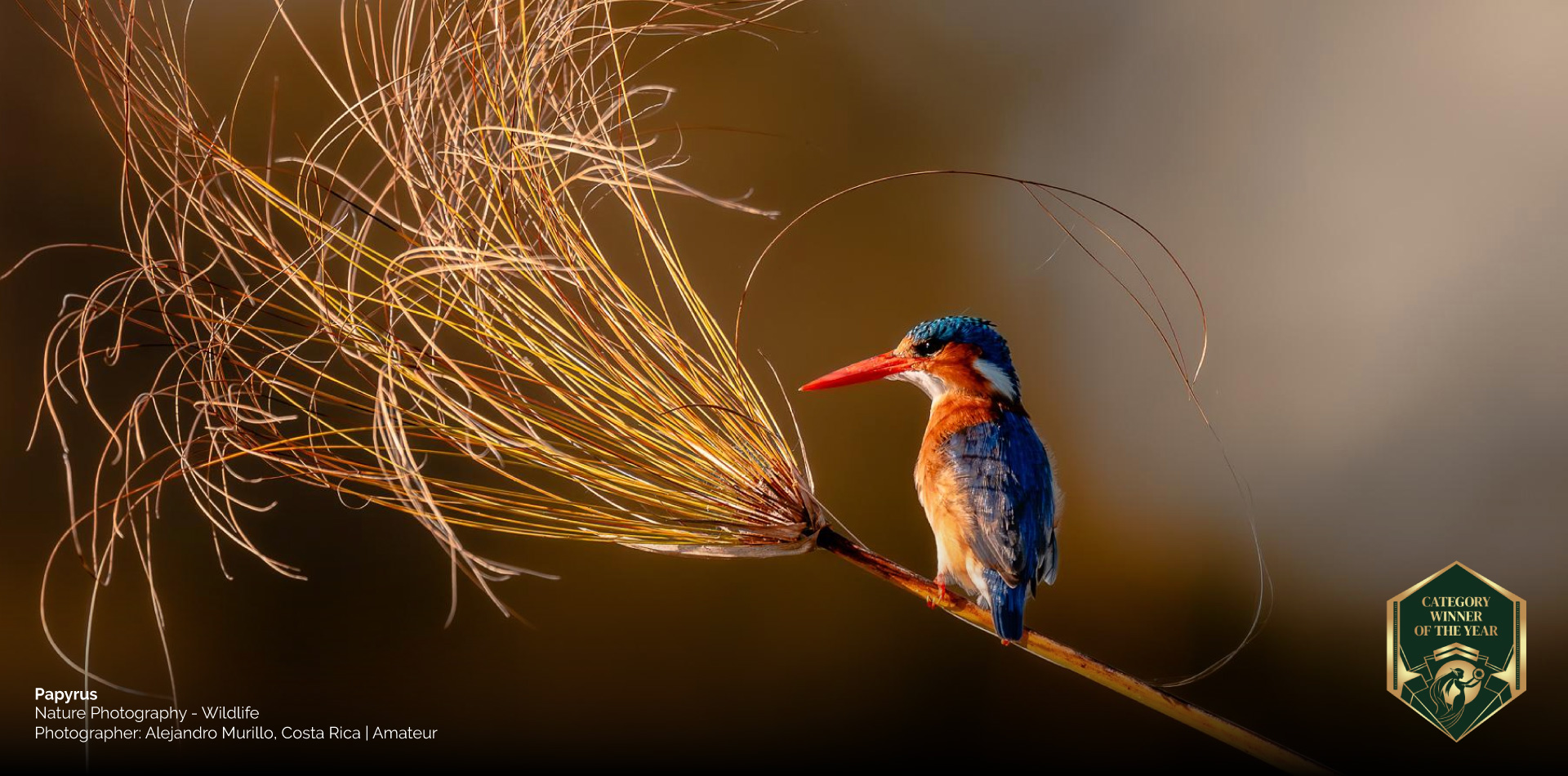 Nature Photography of the Year 2026