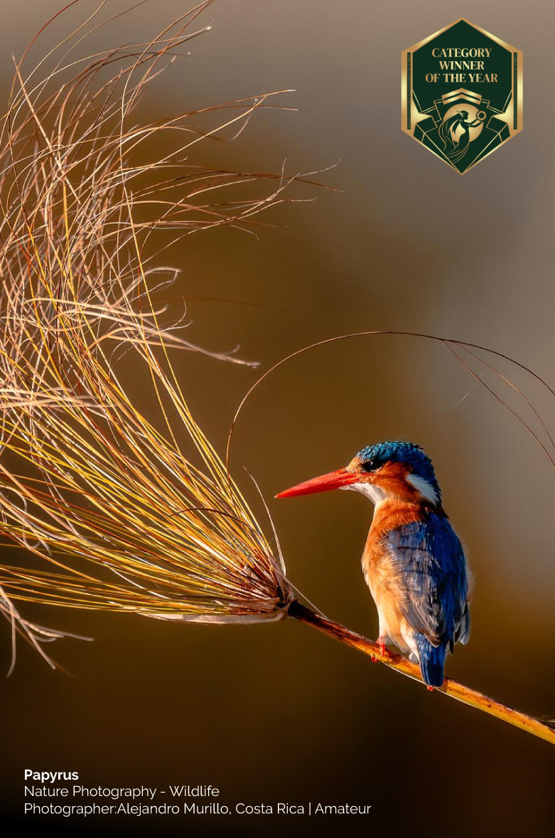 Nature Photography of the Year 2026