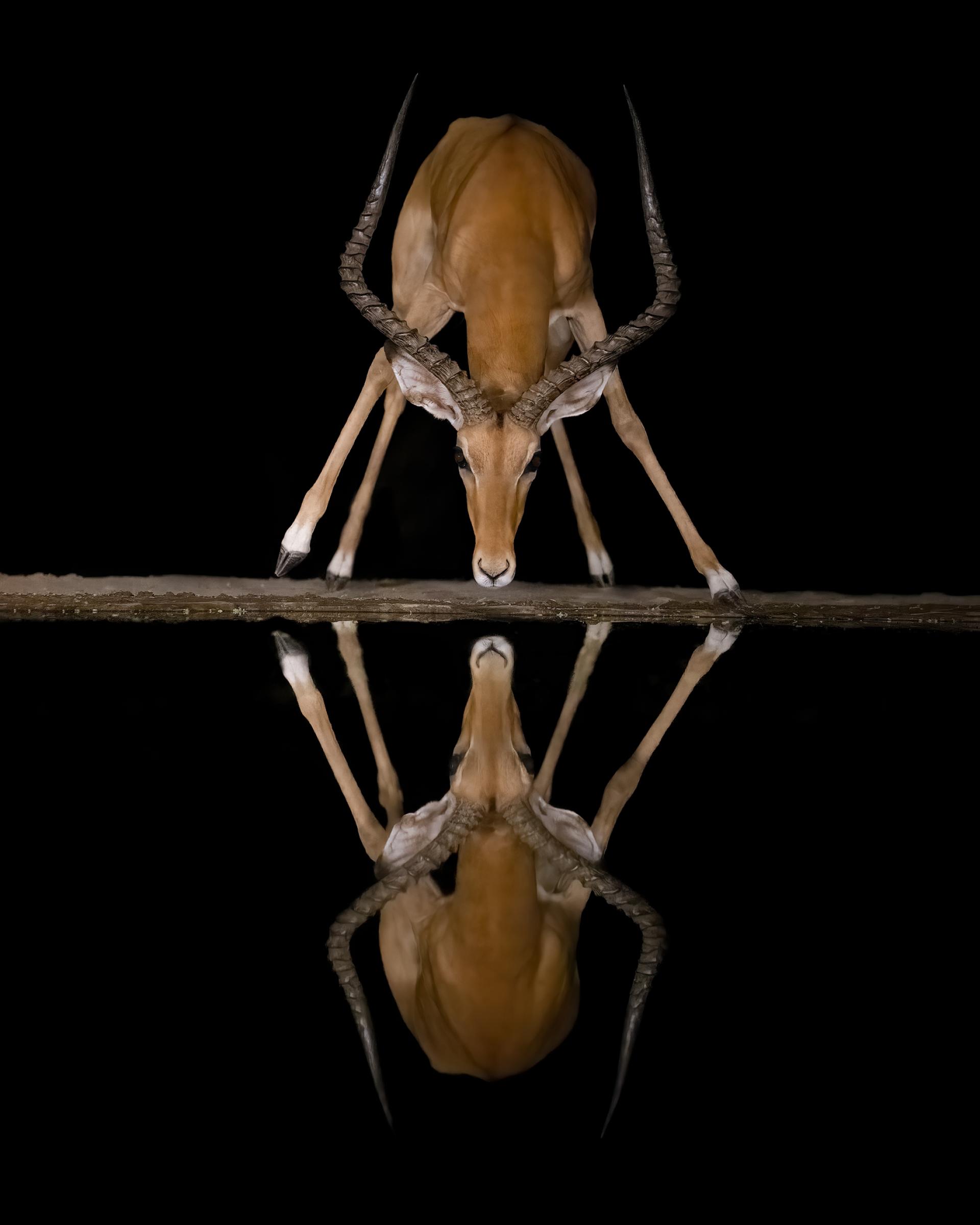 Global Photography Awards Winner - Reflections in the Night