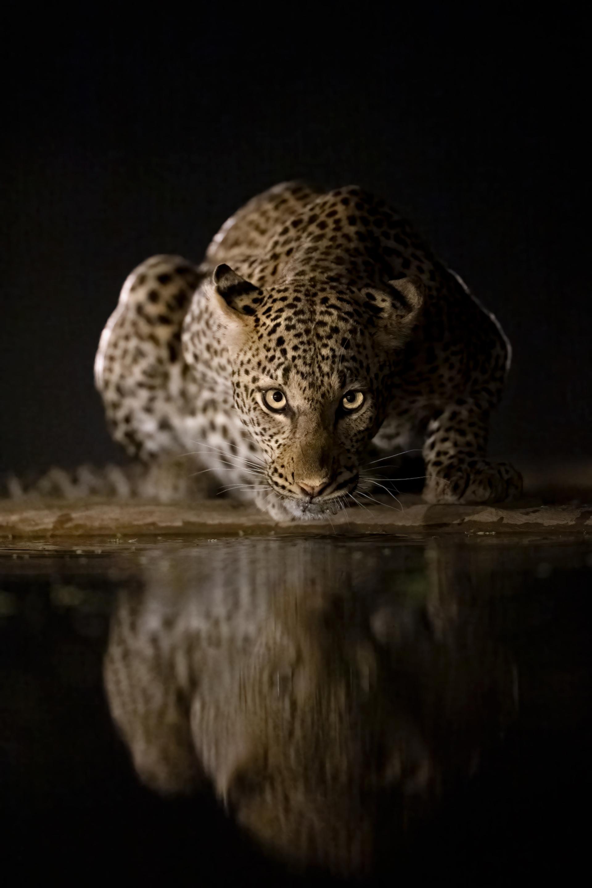 Global Photography Awards Winner - Reflections in the Night 2 