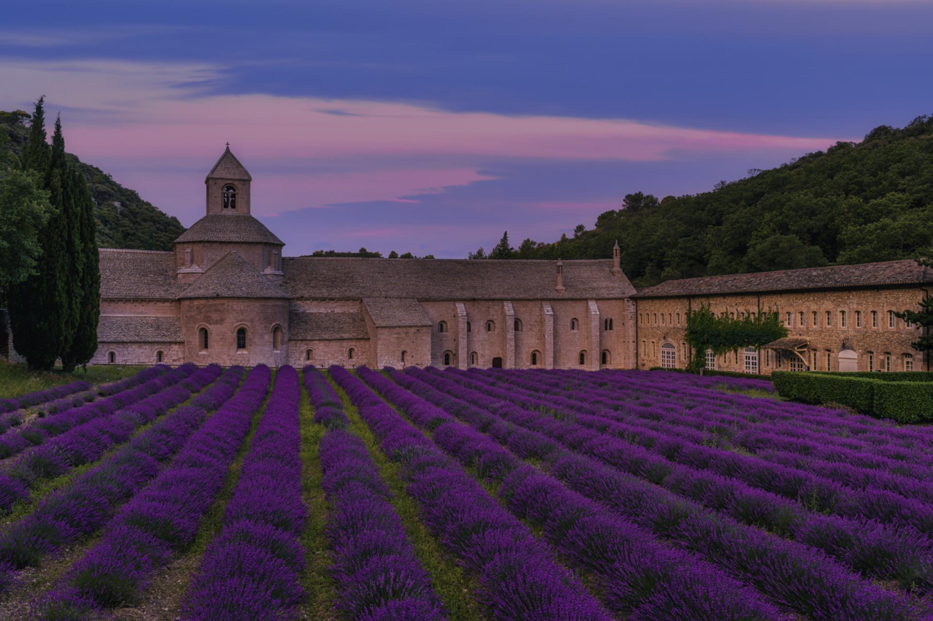 Global Photography Awards Winner - Morning Splendor at Notre-Dame de Sénanque