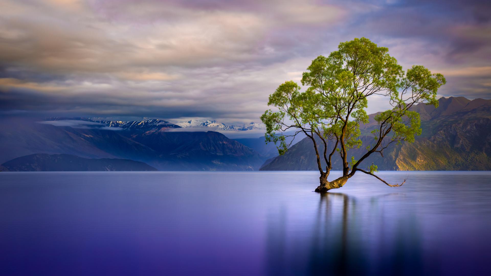 Global Photography Awards Winner - Morning Tranquility