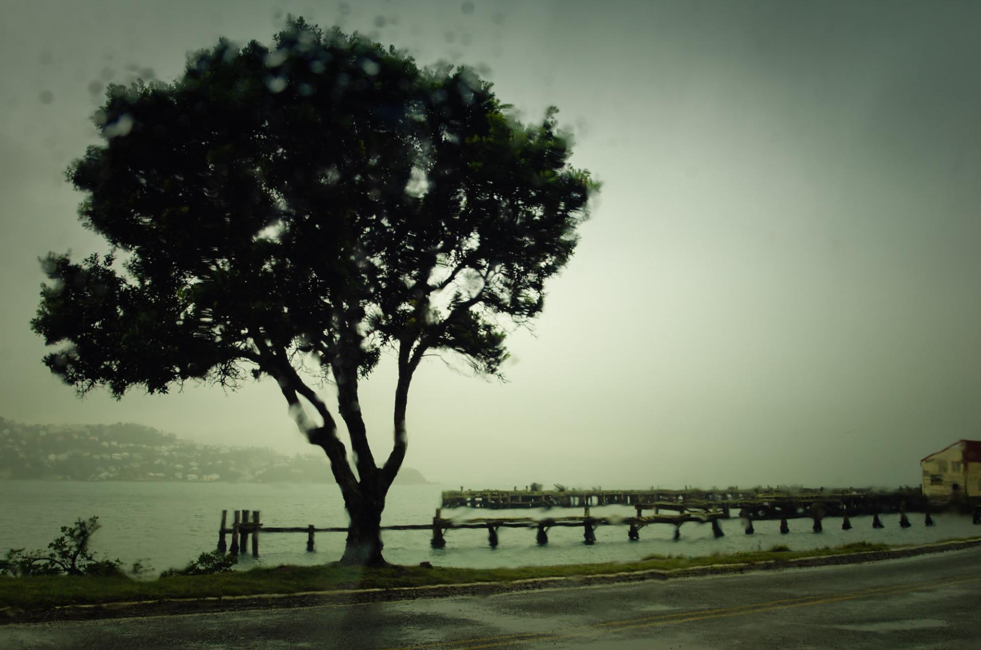 Global Photography Awards Winner - When It Rains