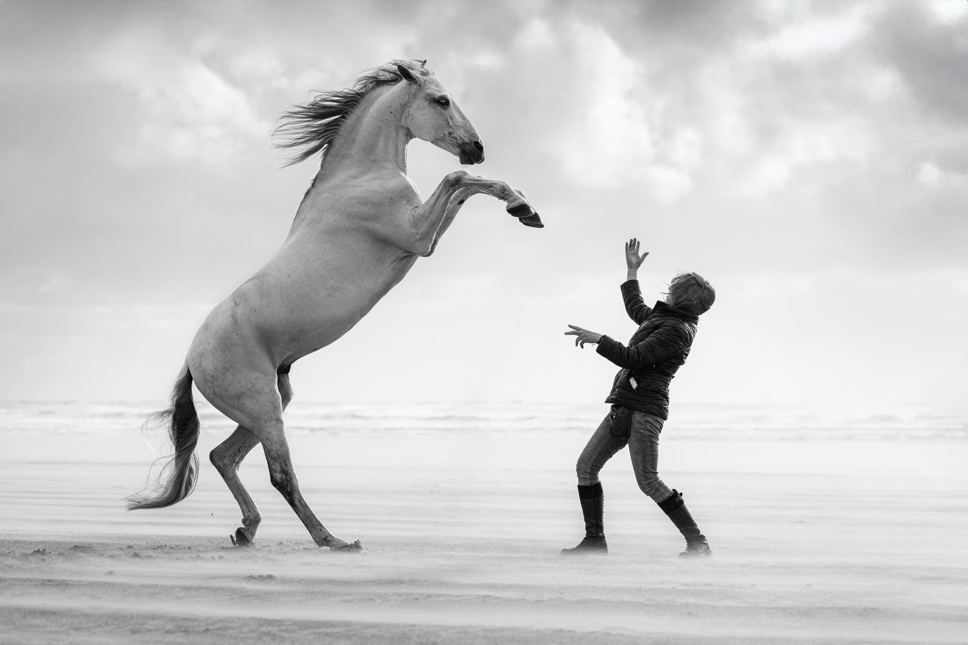 Global Photography Awards Winner - Dancing with the Wind