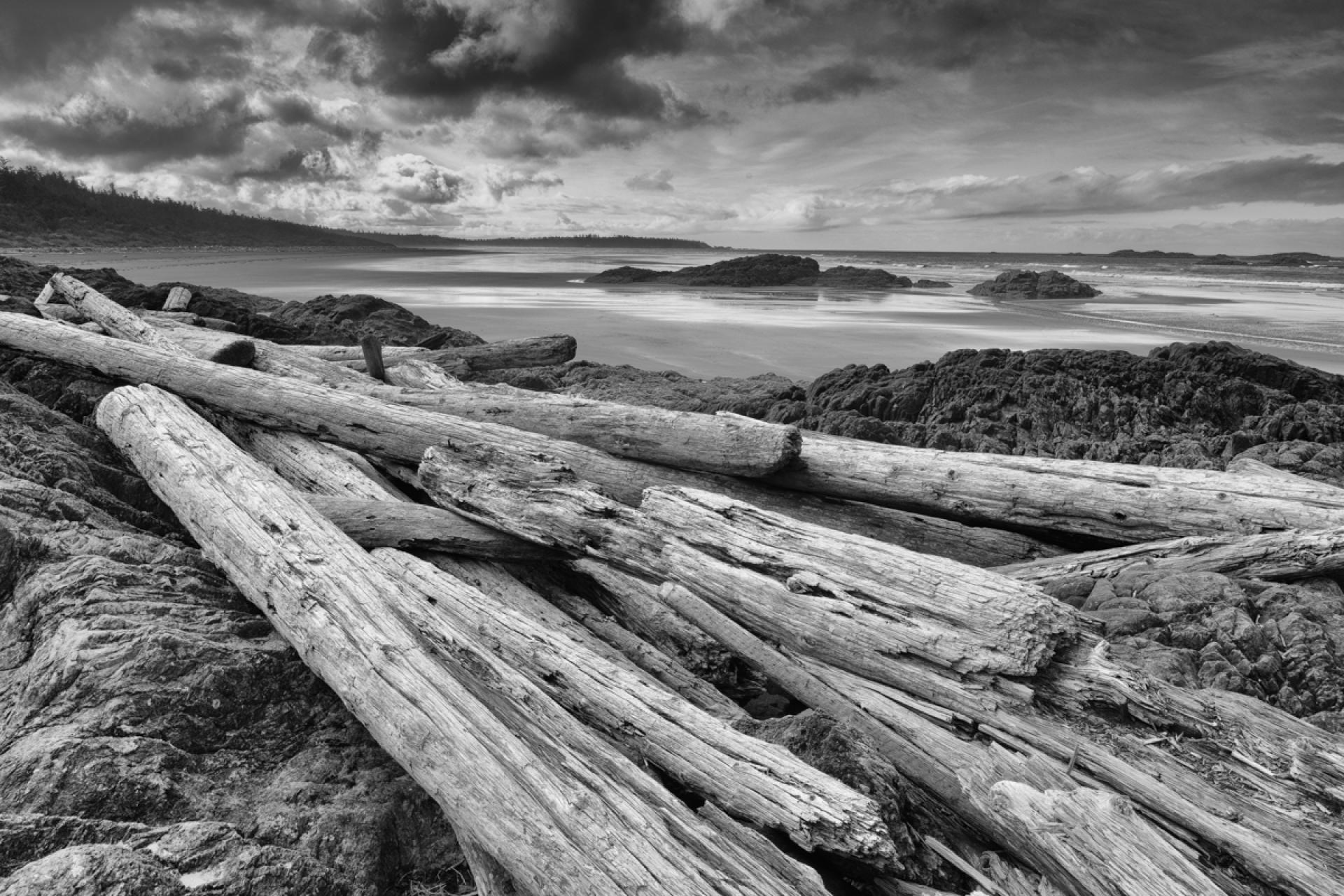 Global Photography Awards Winner - Washed Ashore