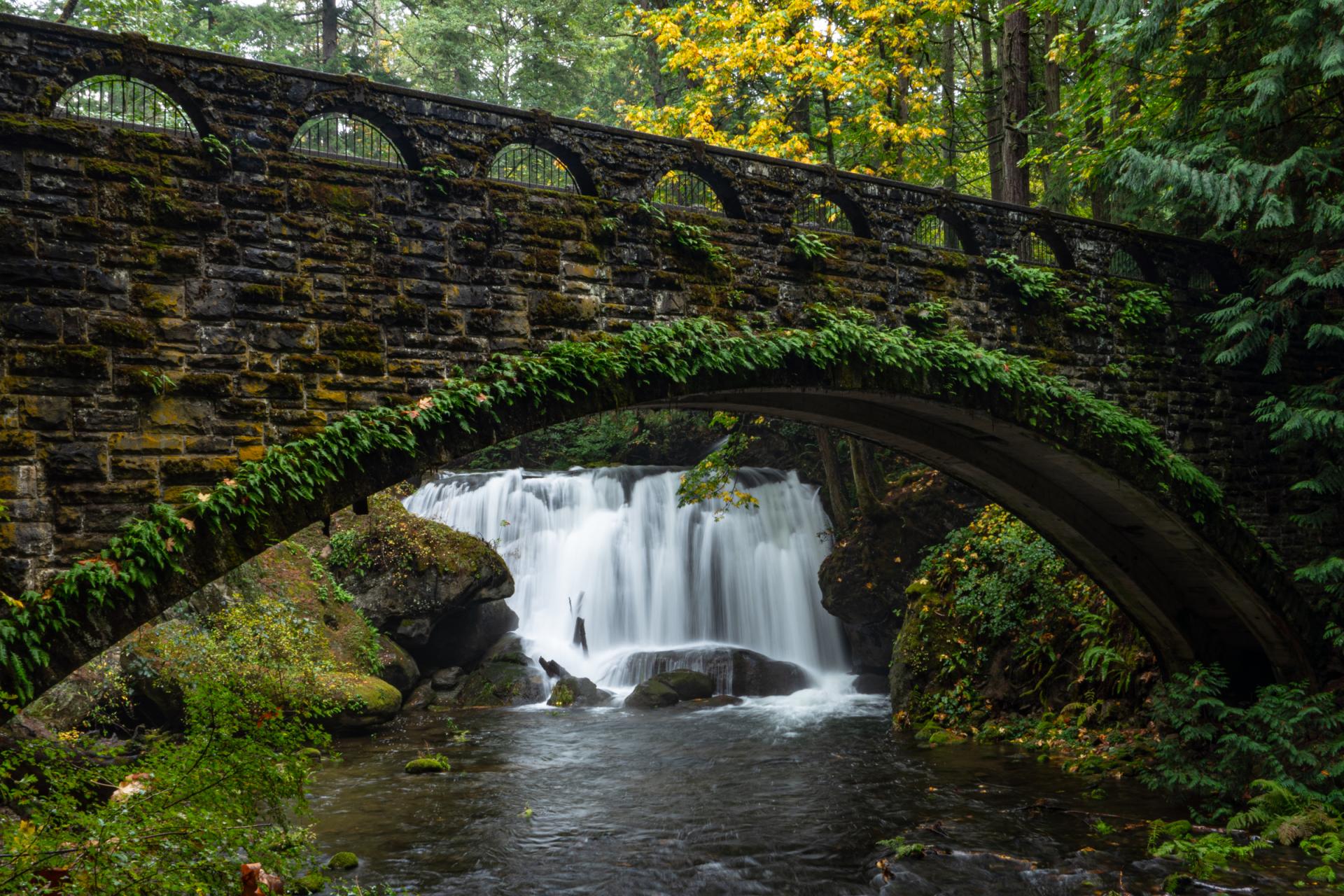 Global Photography Awards Winner - Under the Bridge at Whatcom Falls Park