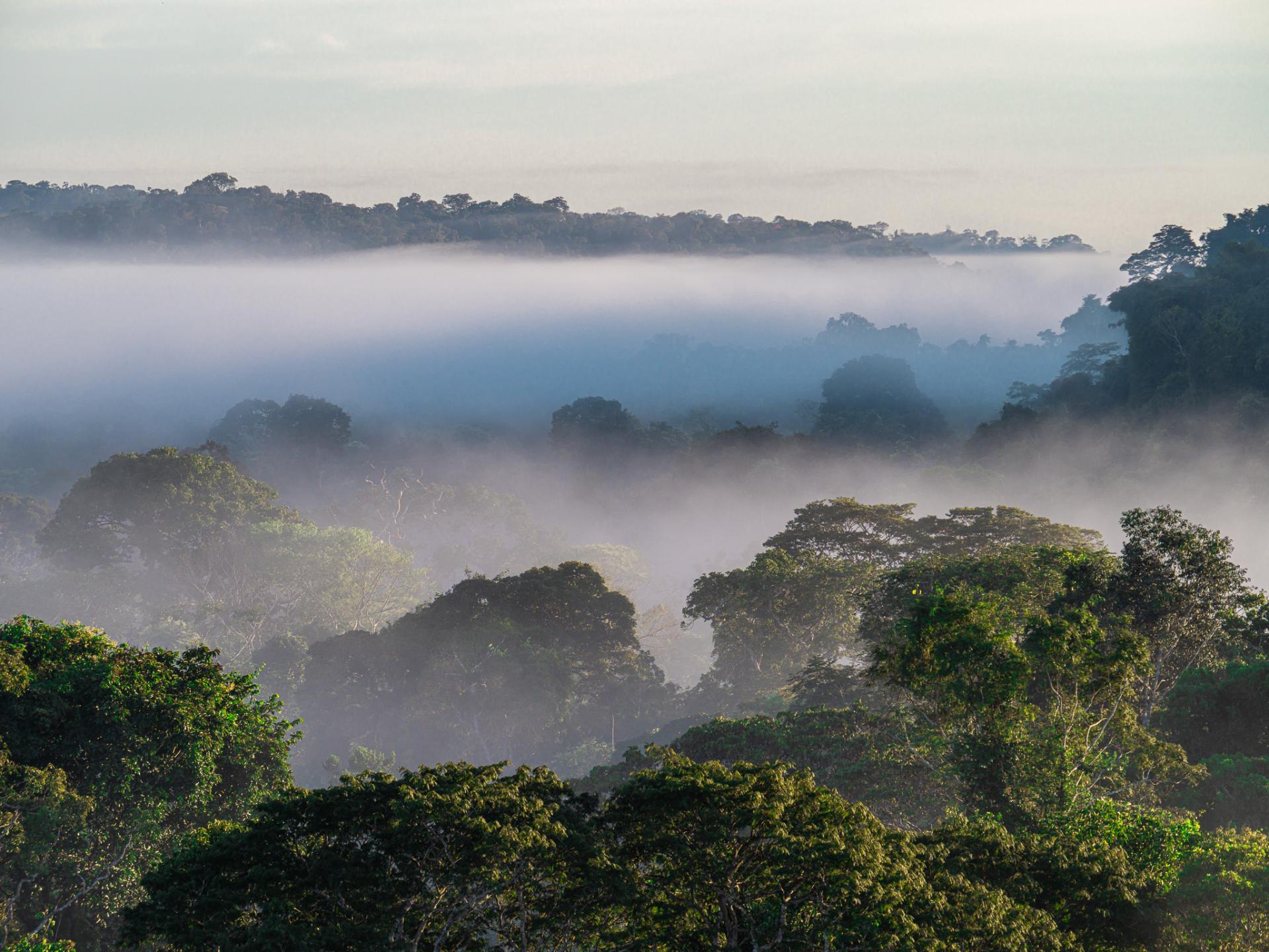 Global Photography Awards Winner - Journey Through Sunset: A Visual Symphony