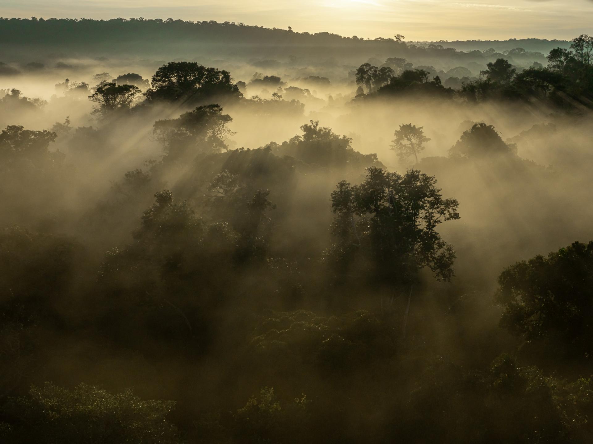 Global Photography Awards Winner - Journey Through Sunset: A Visual Symphony