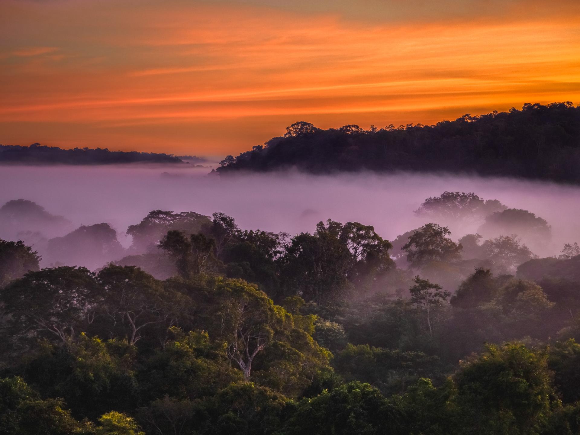 Global Photography Awards Winner - Journey Through Sunset: A Visual Symphony