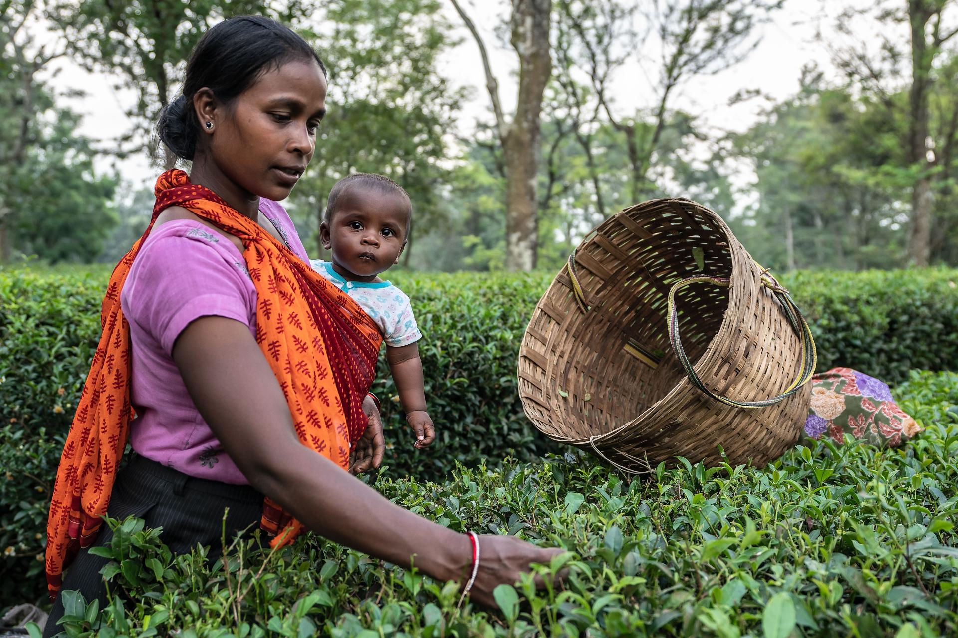 Global Photography Awards Winner - A Young Apprentice