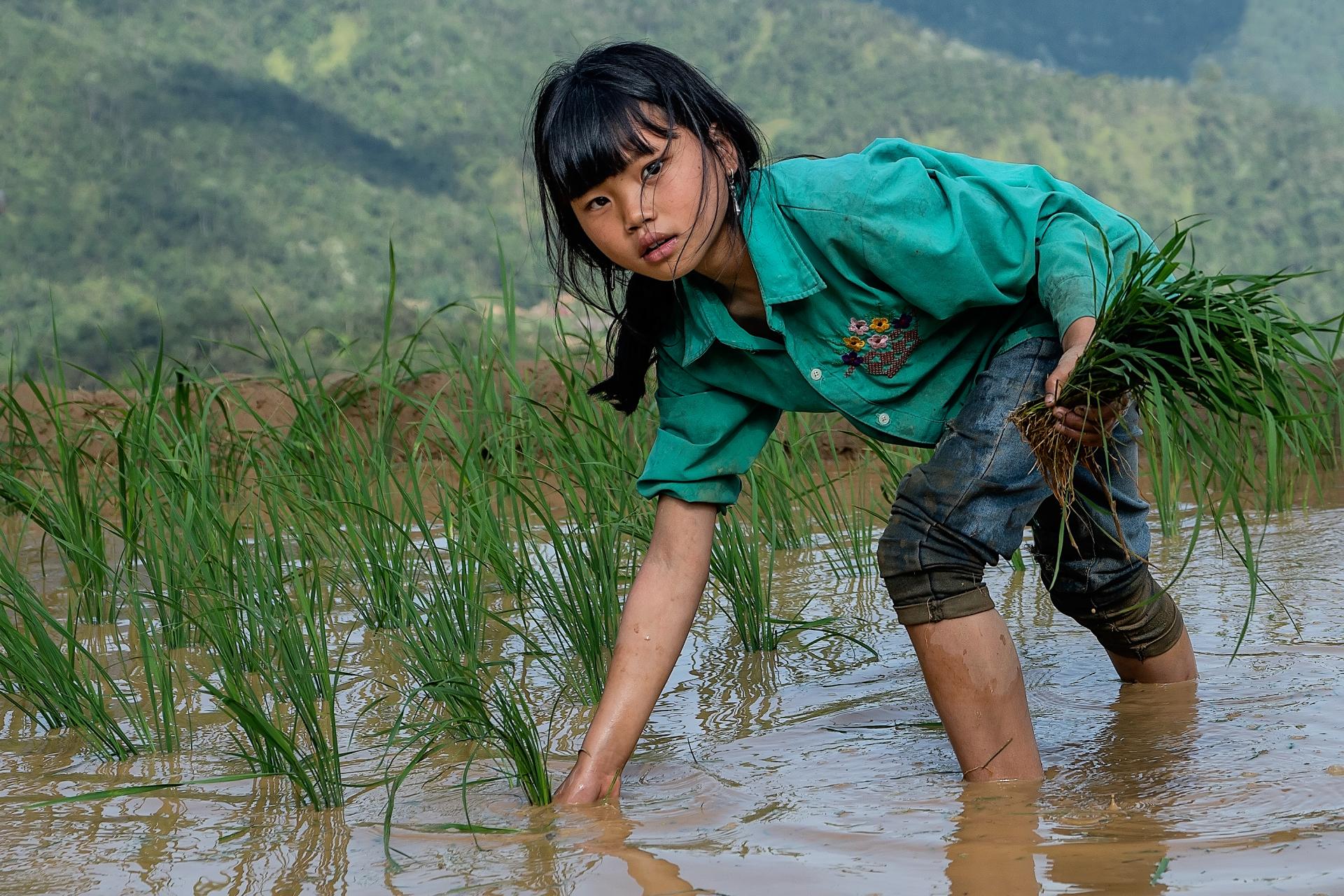 Global Photography Awards Winner - Help from the Kids