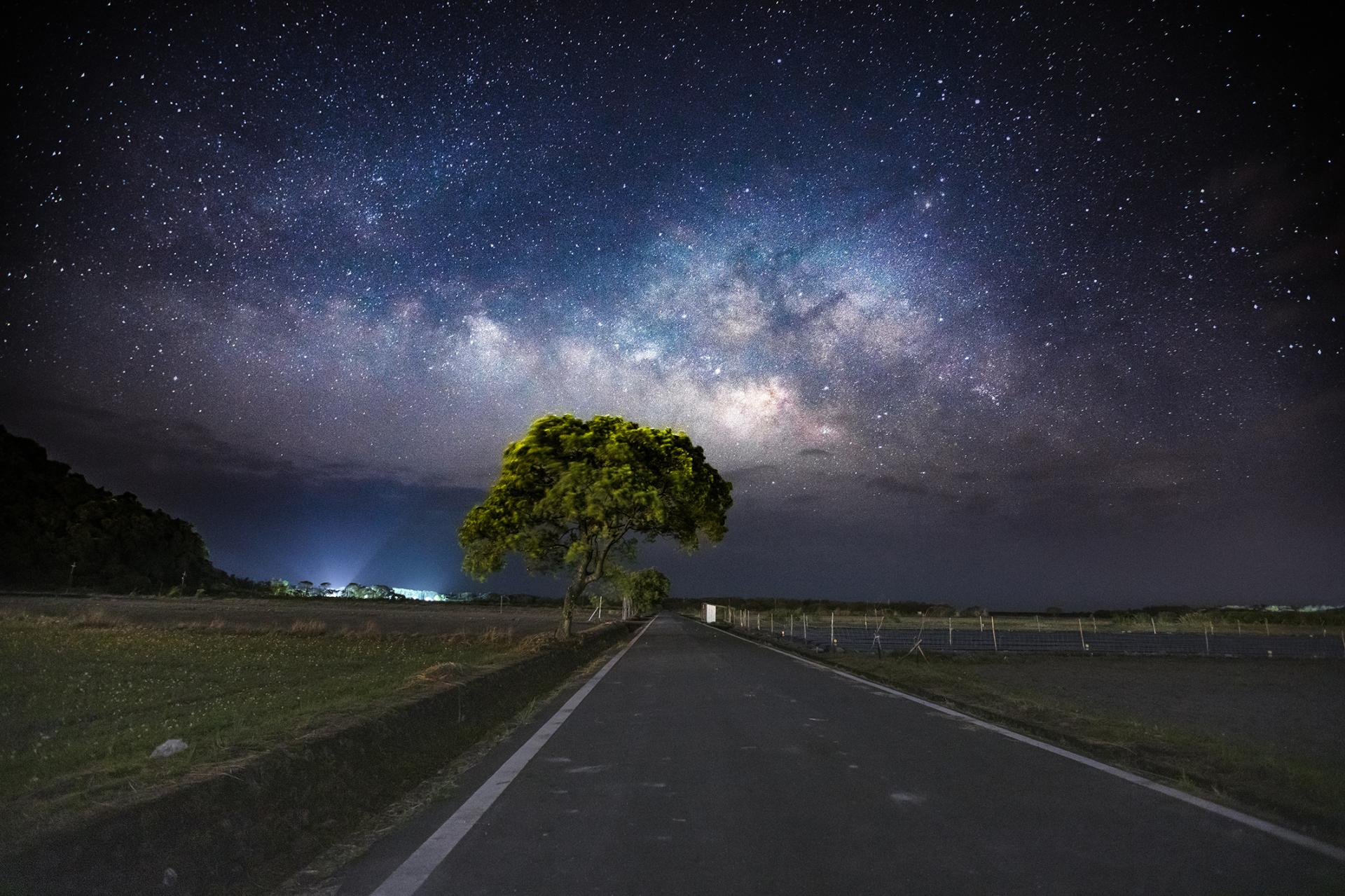 Global Photography Awards Winner - Milky Way on the tree