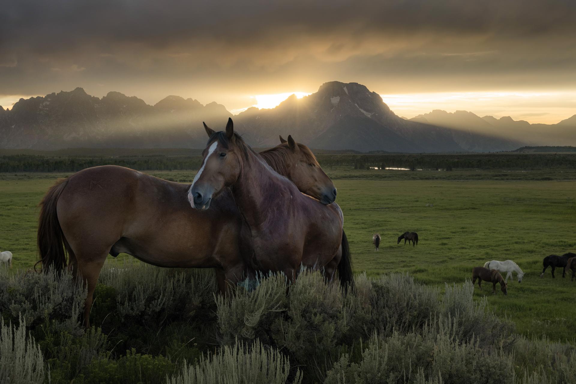 Global Photography Awards Winner - Romance of the American West