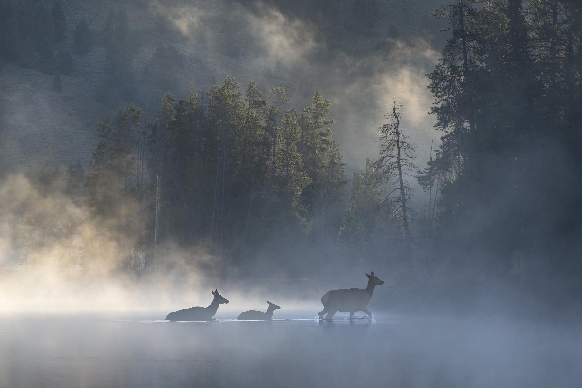 Global Photography Awards Winner - Romance of the American West