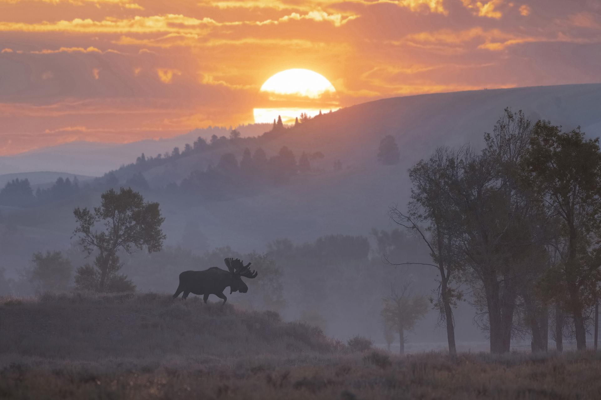 Global Photography Awards Winner - Romance of the American West