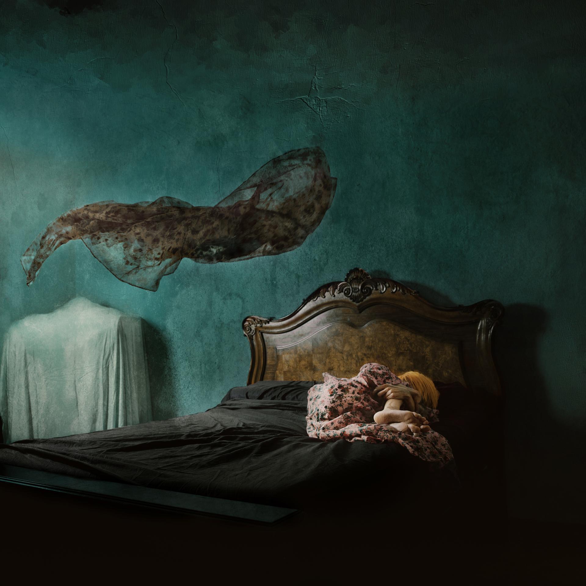 Global Photography Awards Winner - TENEBRIS SOMNIORUM