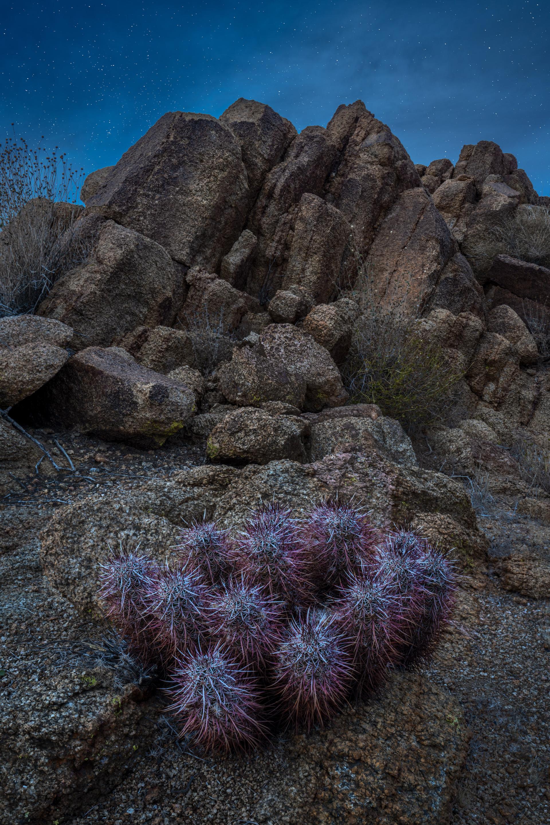 Global Photography Awards Winner - Desert Nightfall