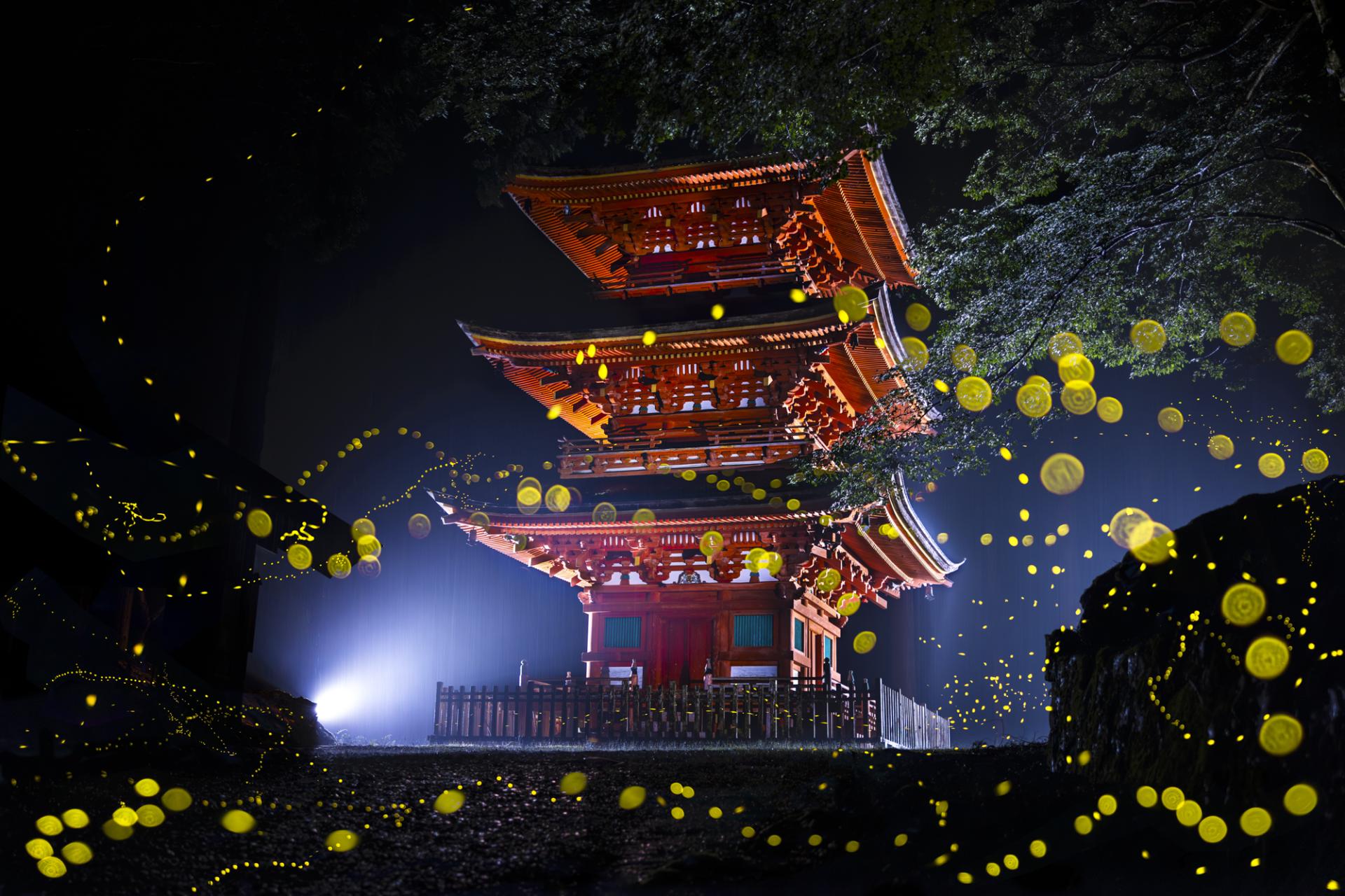 Global Photography Awards Winner - Midsummer night firefly