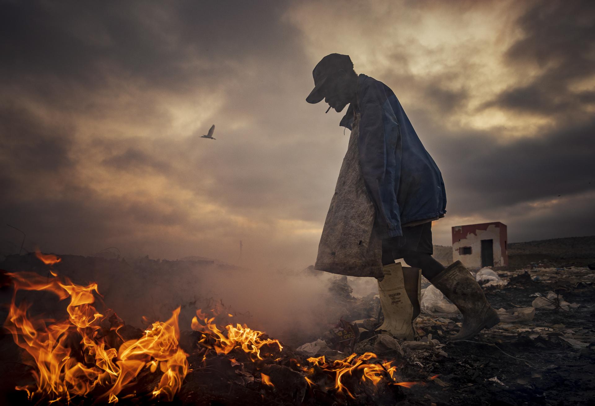 Global Photography Awards Winner - Scavengers