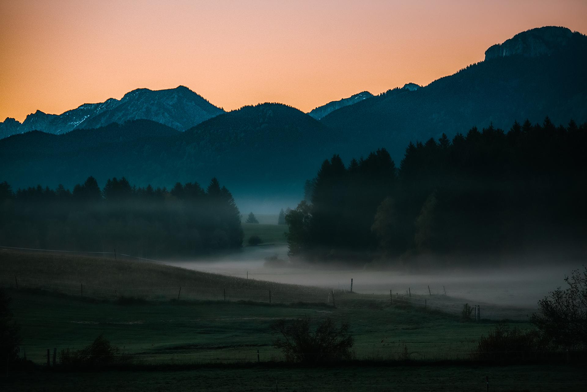 Global Photography Awards Winner - The Way