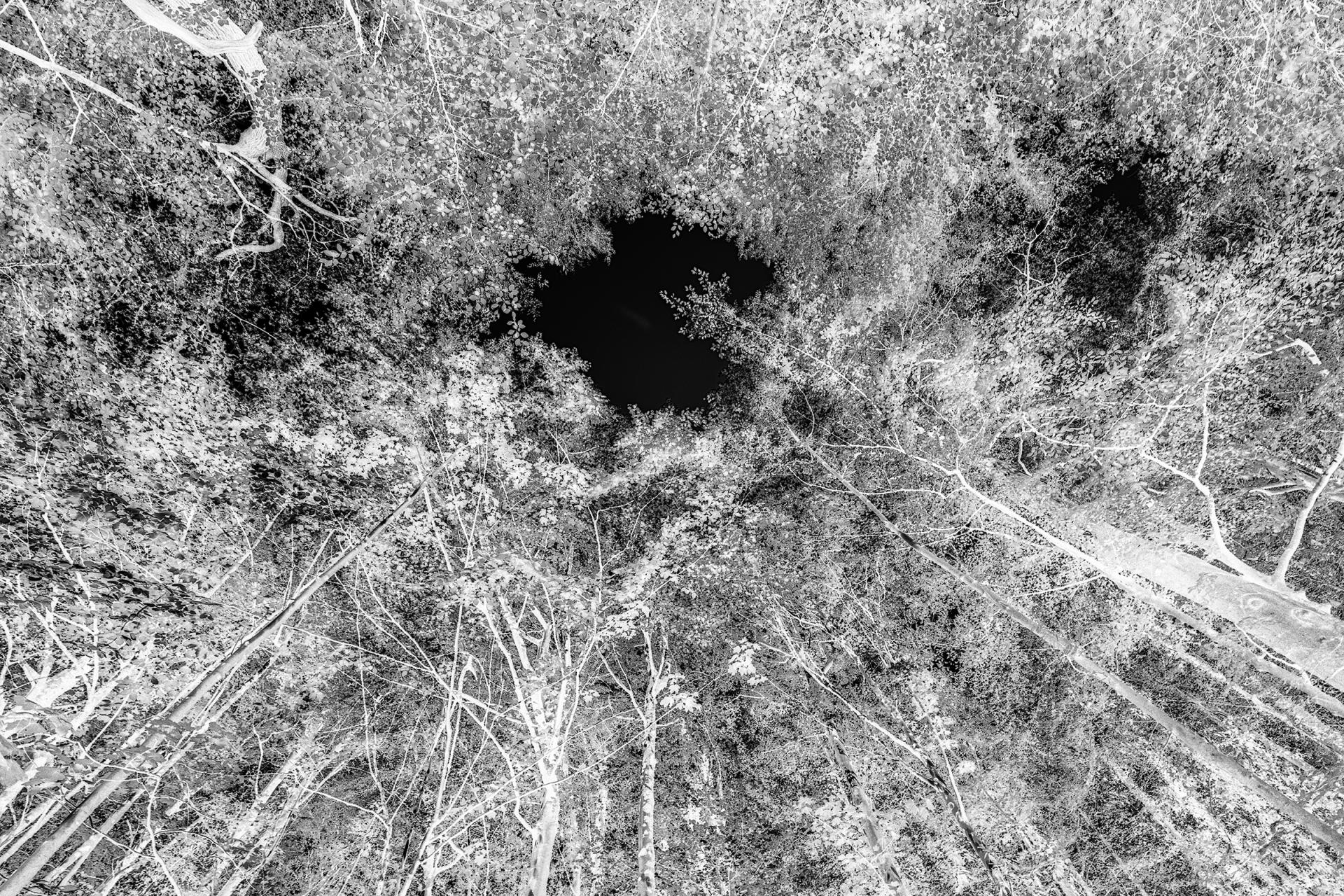 Global Photography Awards Winner - Encircled