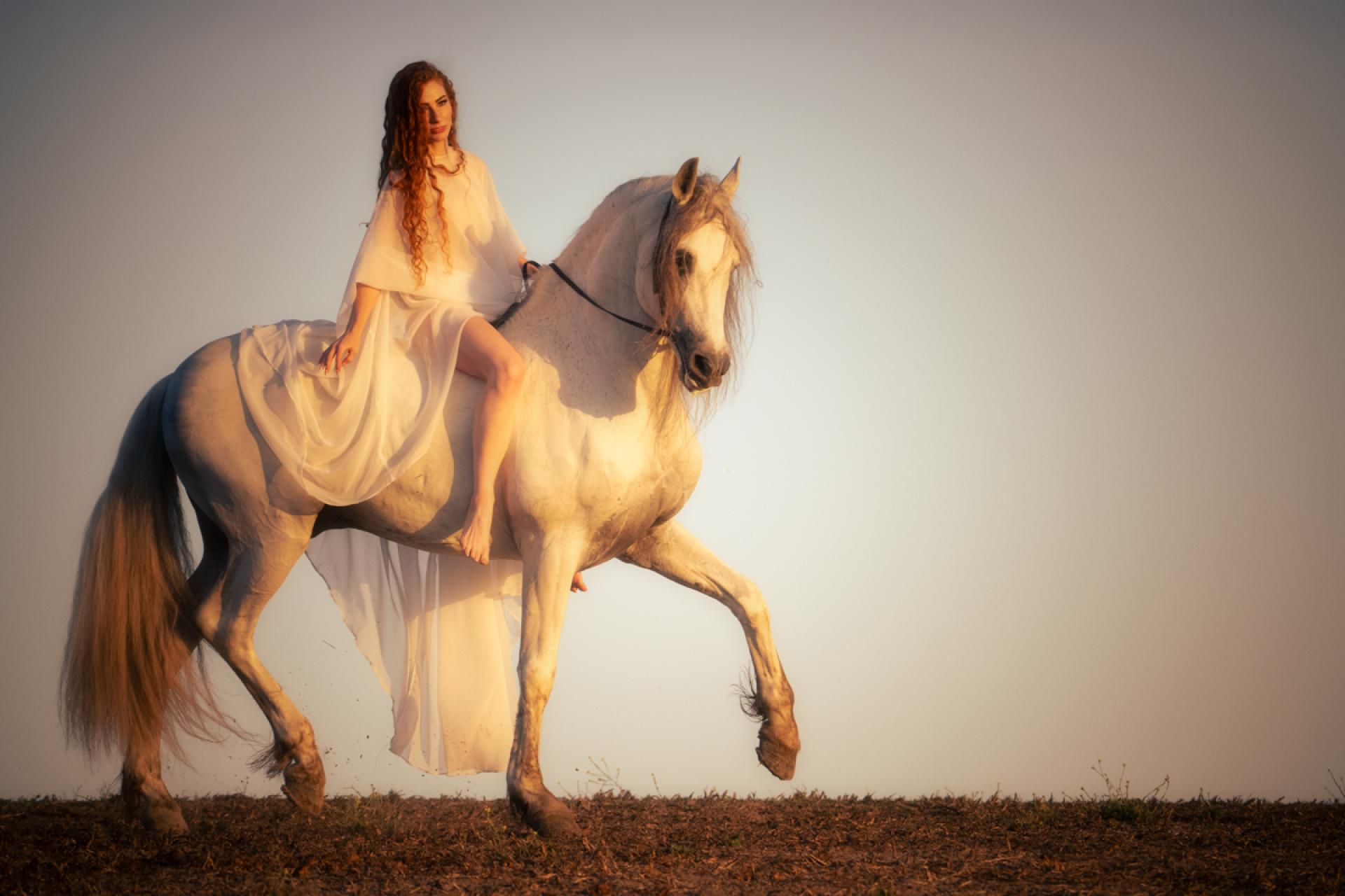 Global Photography Awards Winner - Ethereal Equus