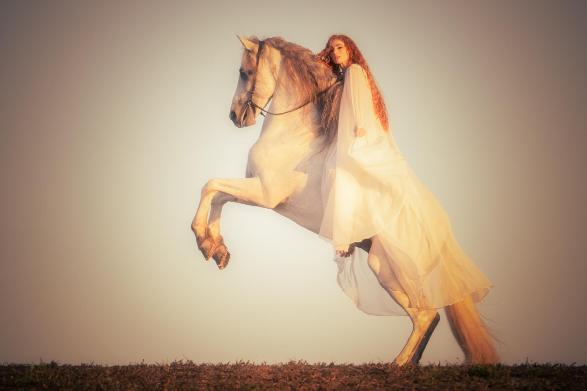 Global Photography Awards Winner - Ethereal Equus