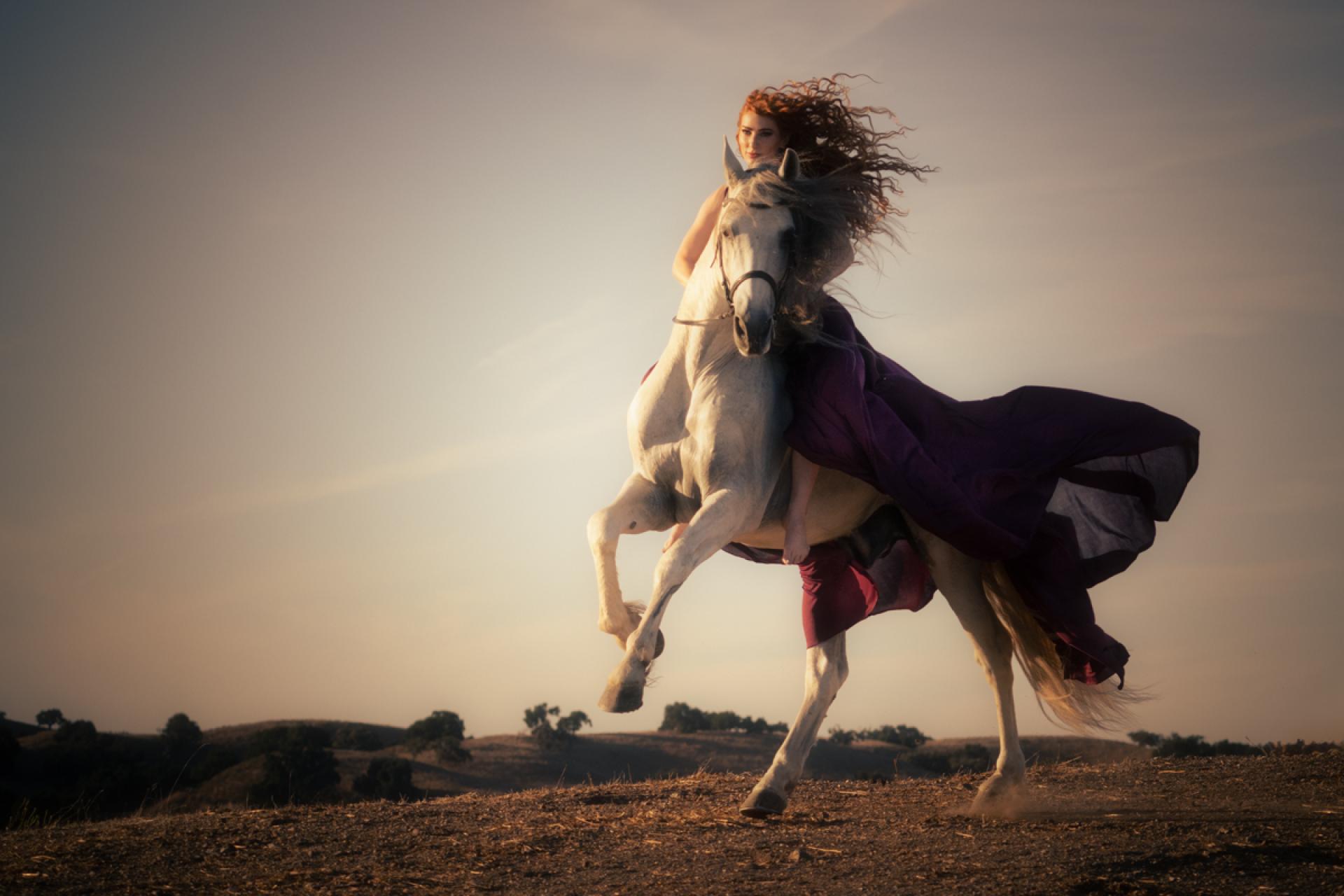 Global Photography Awards Winner - Ethereal Equus