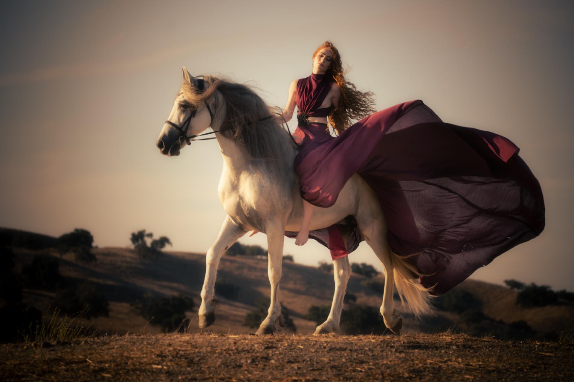 Global Photography Awards Winner - Ethereal Equus