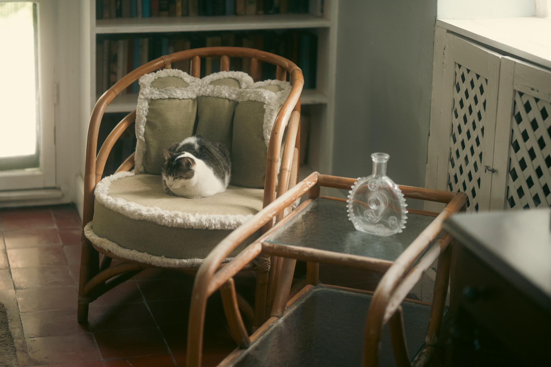 Global Photography Awards Winner - Afternoon