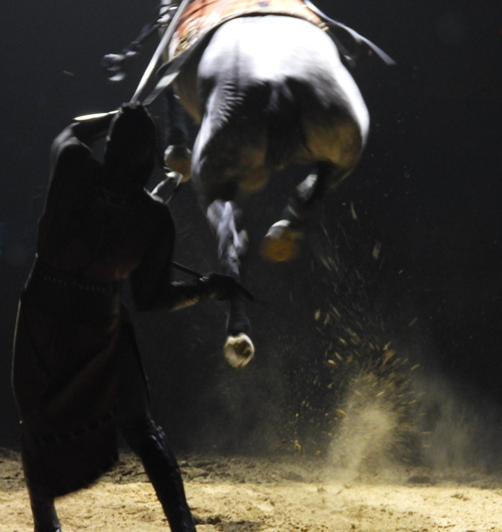Global Photography Awards Winner - The High Jumping Horse