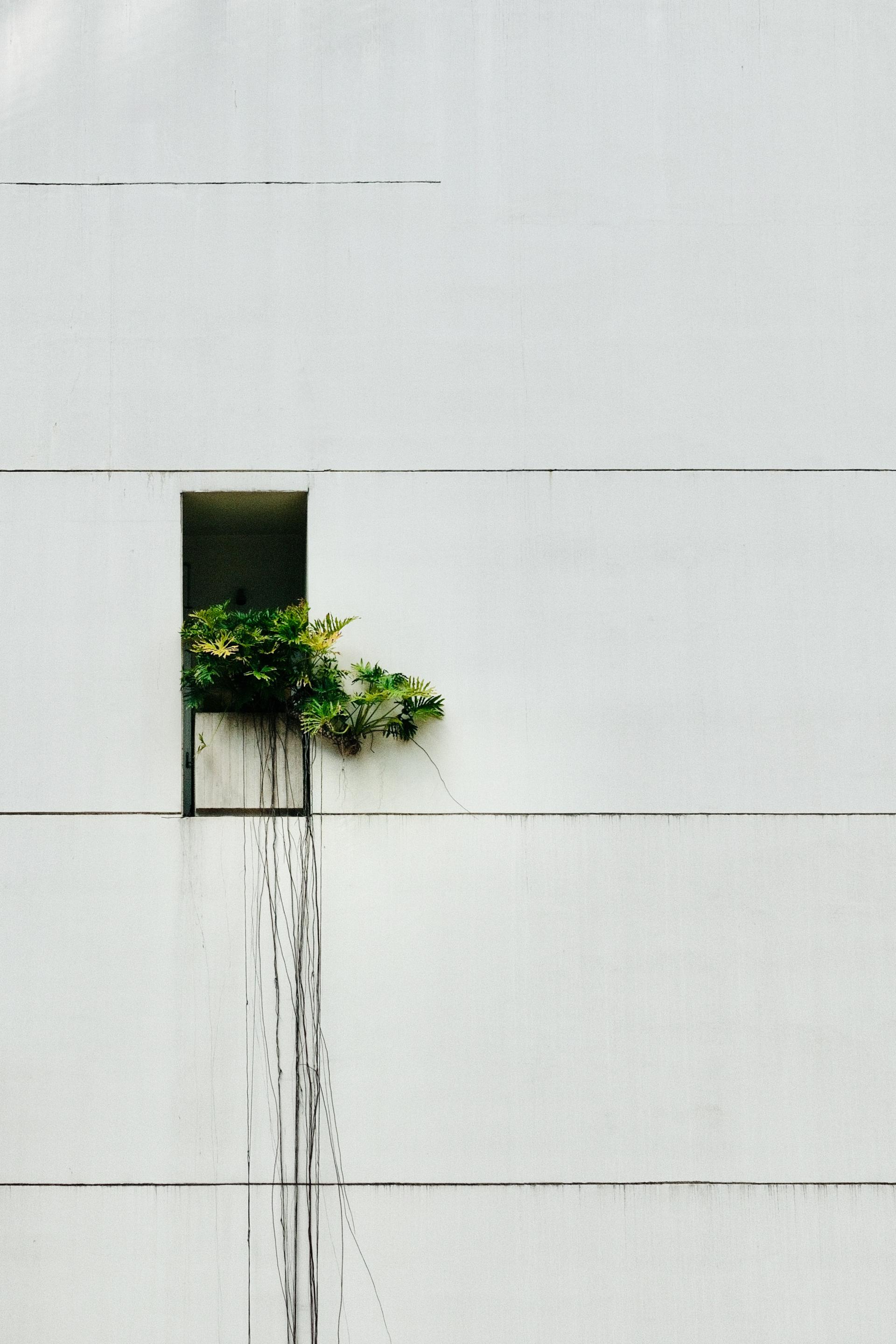 Global Photography Awards Winner - Life