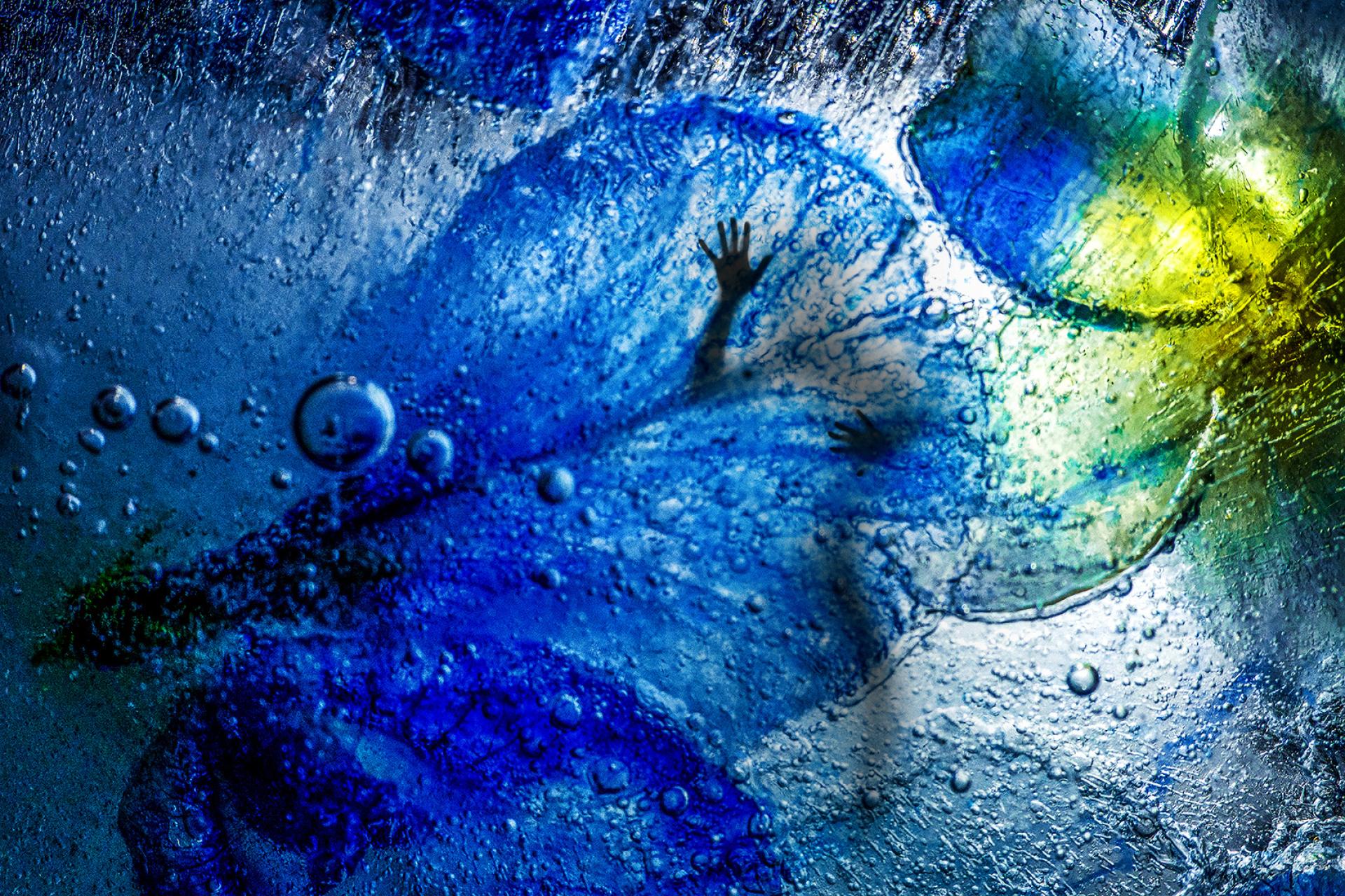 Global Photography Awards Winner - The beautiful macro ice flowers.