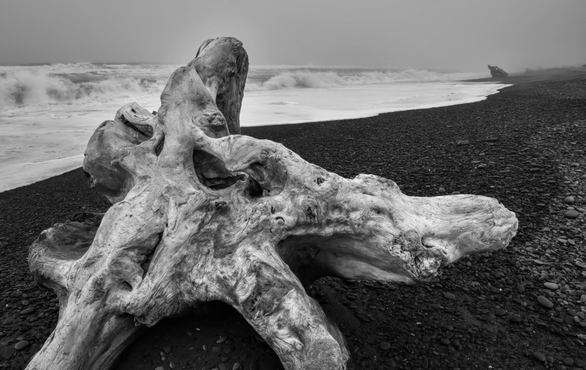 Global Photography Awards Winner - Waiting for the Tide