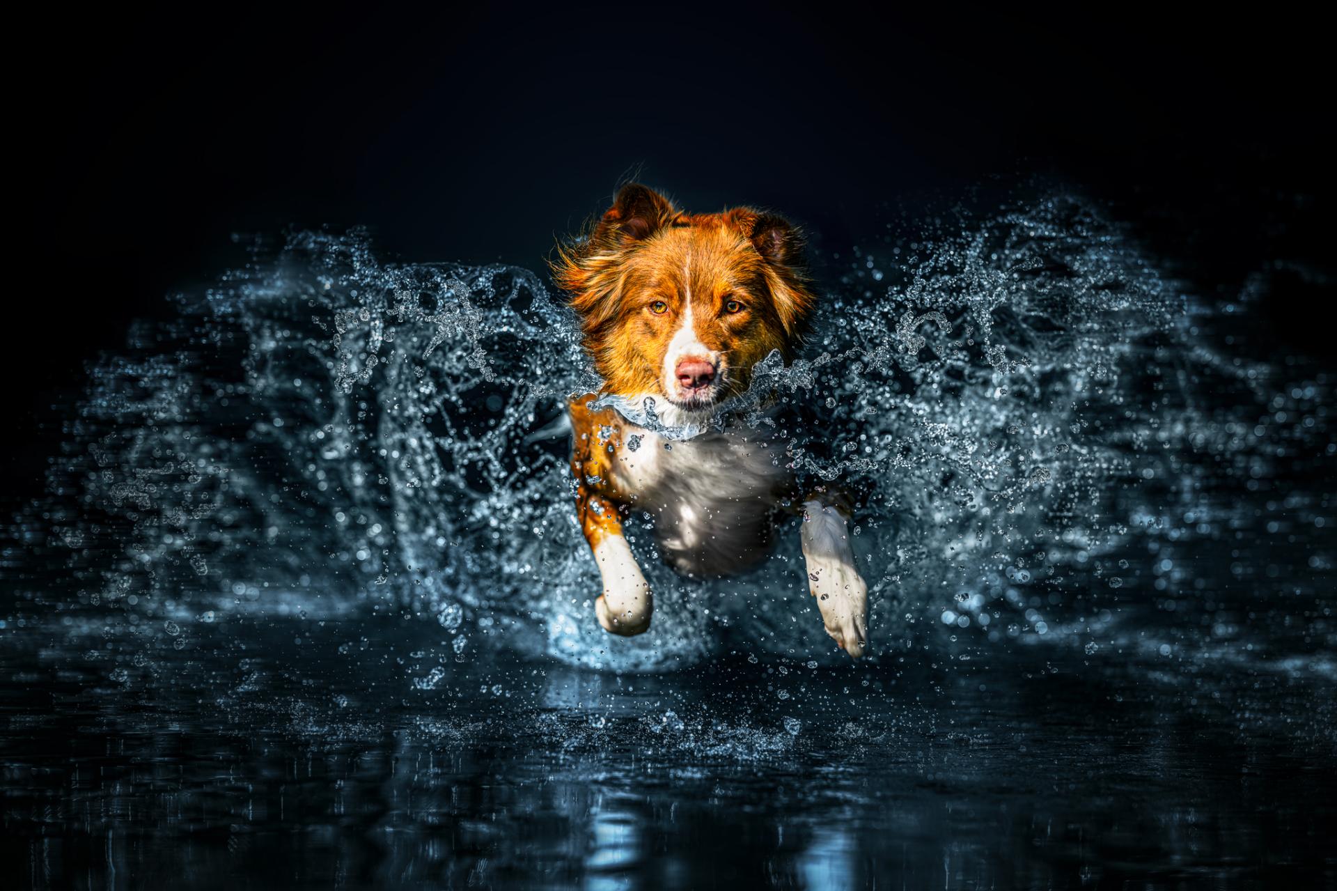 Global Photography Awards Winner - In the Heart of Splash