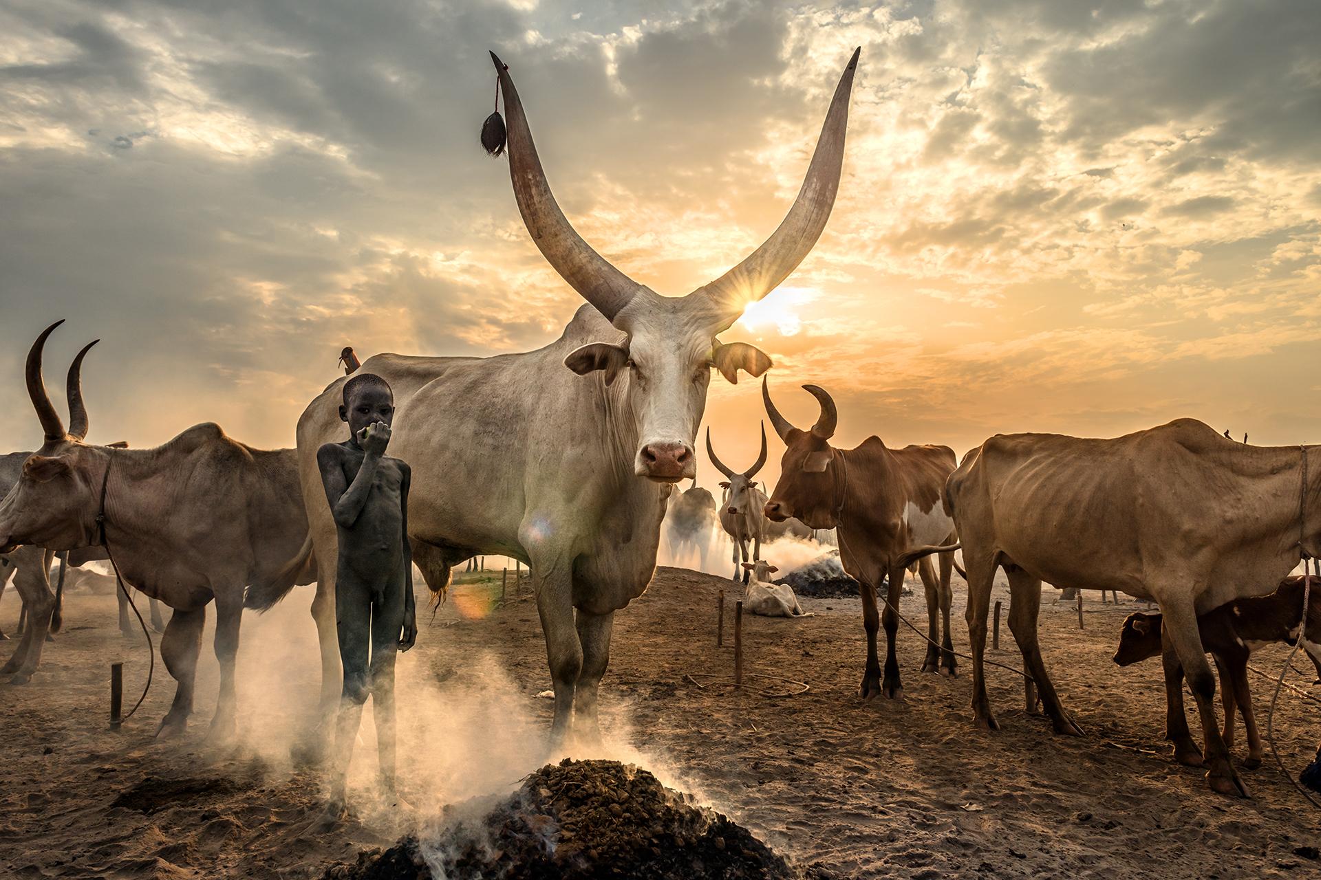 Global Photography Awards Winner - Mundari Culture