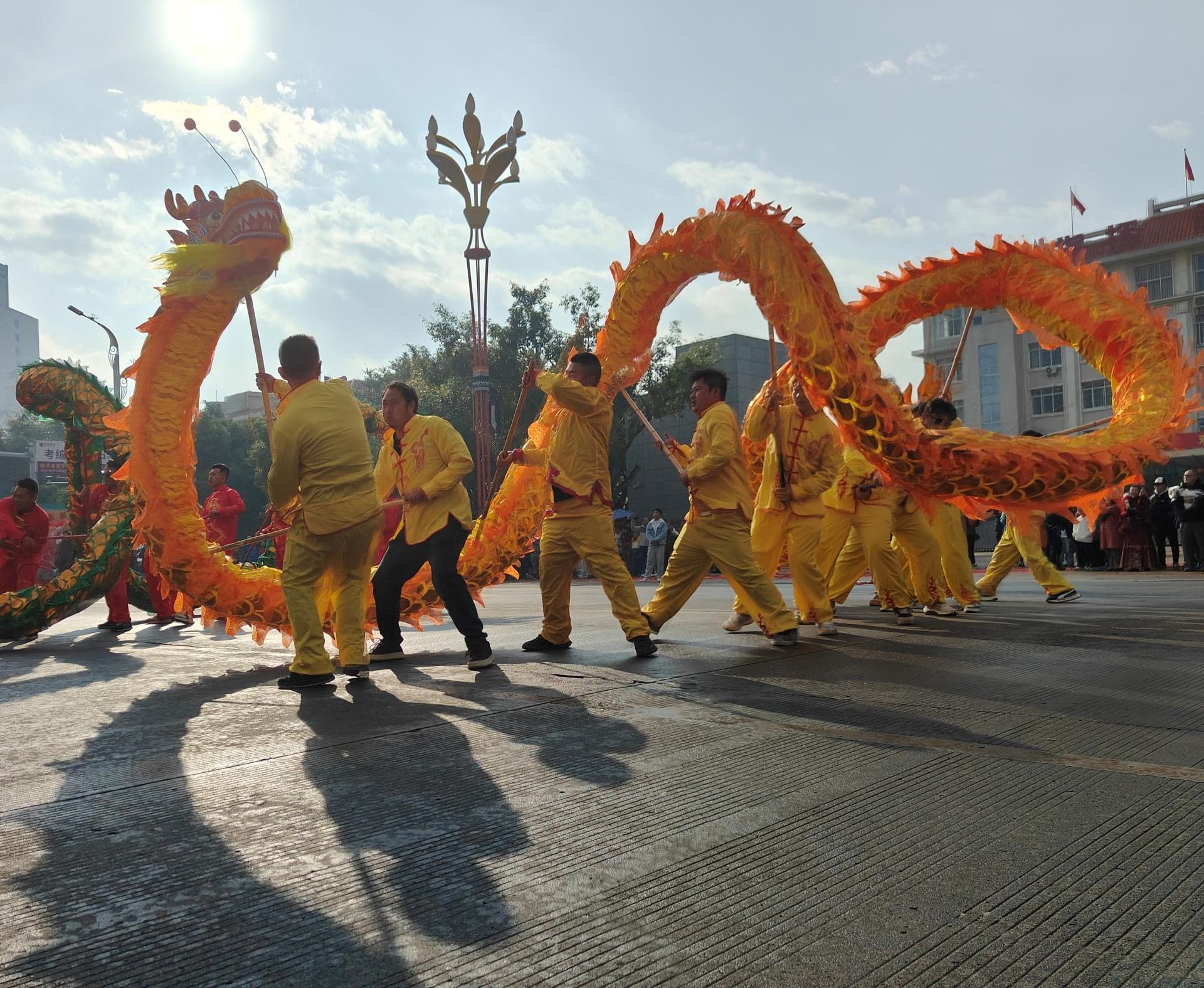 Global Photography Awards Winner - 游龙/Loong Dance