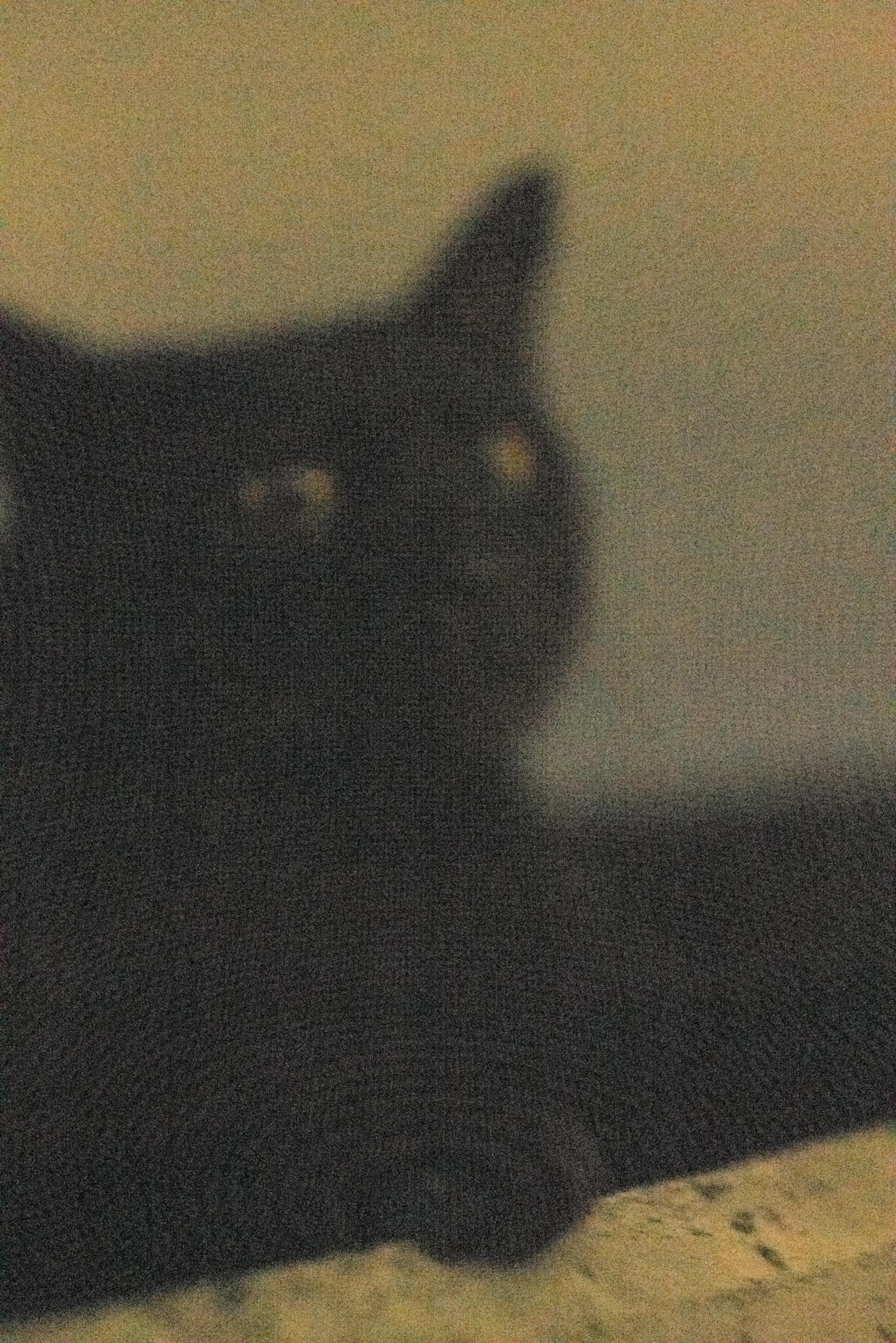 Global Photography Awards Winner - Monster