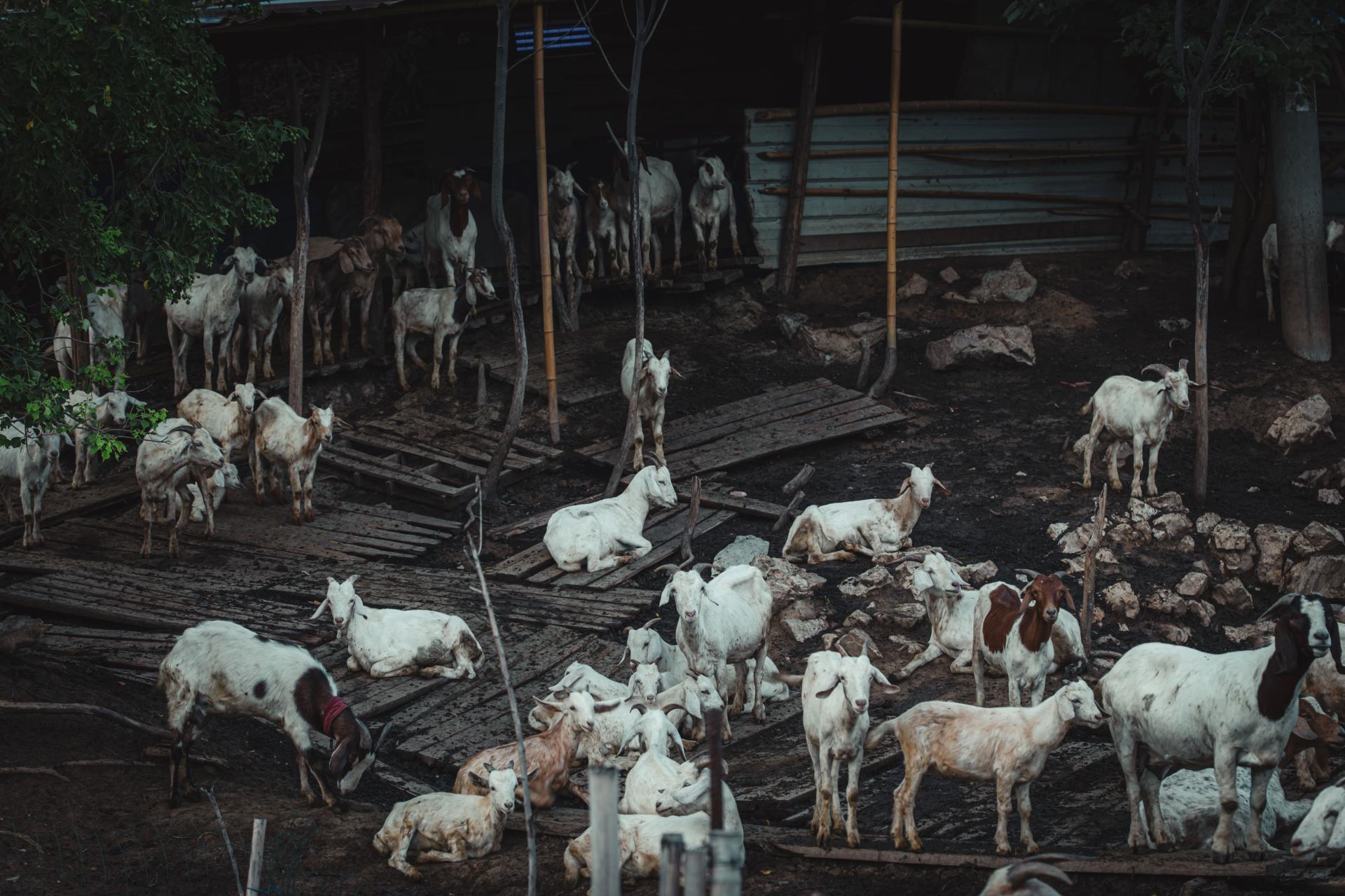Global Photography Awards Winner - The Gentle Hour