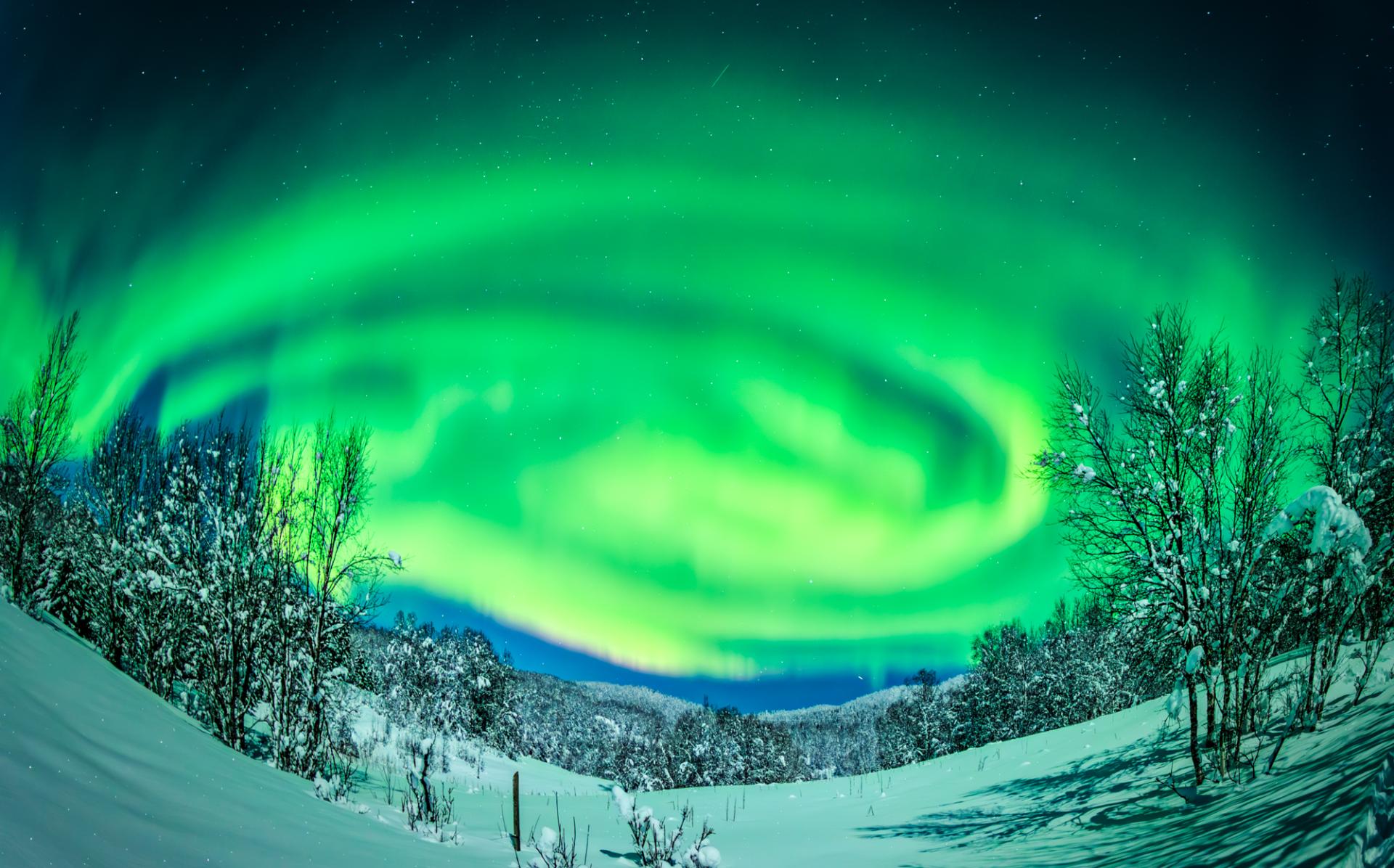 Global Photography Awards Winner - Dance of the Aurora