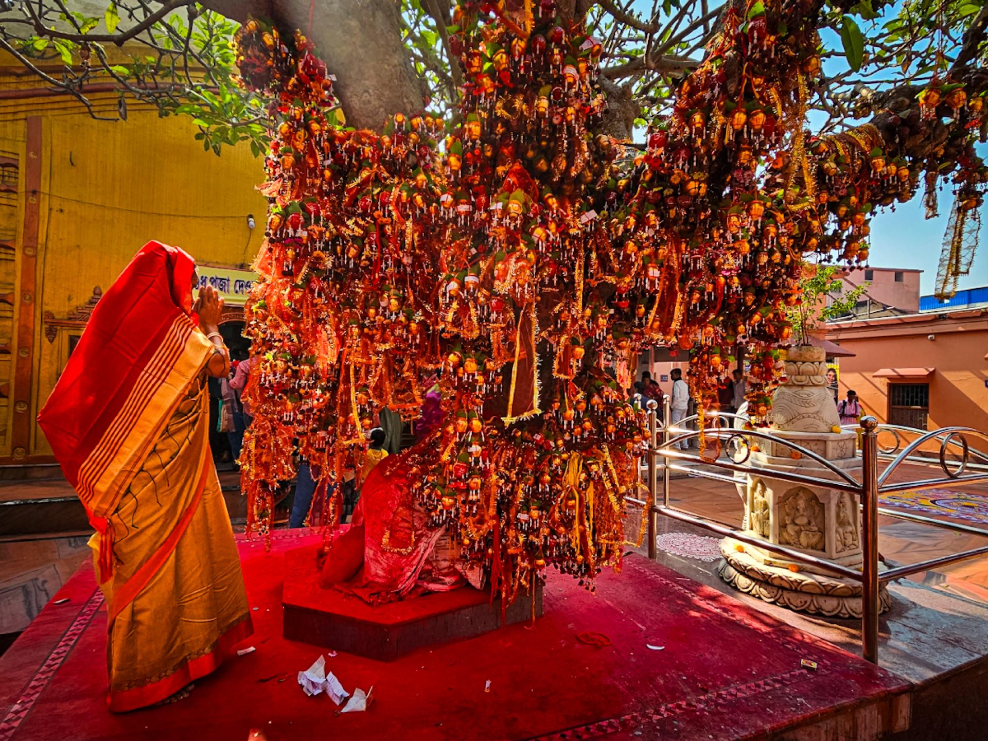 Global Photography Awards Winner - Homecoming: Roots