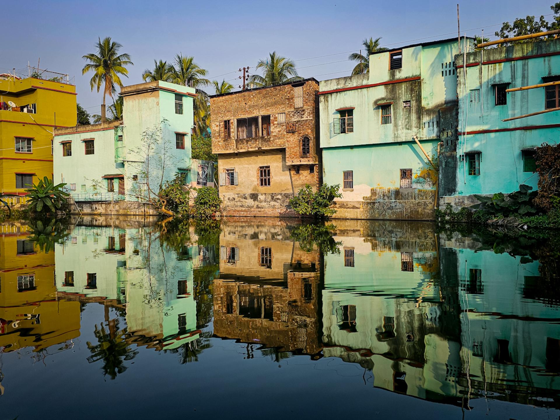 Global Photography Awards Winner - Homecoming: Roots