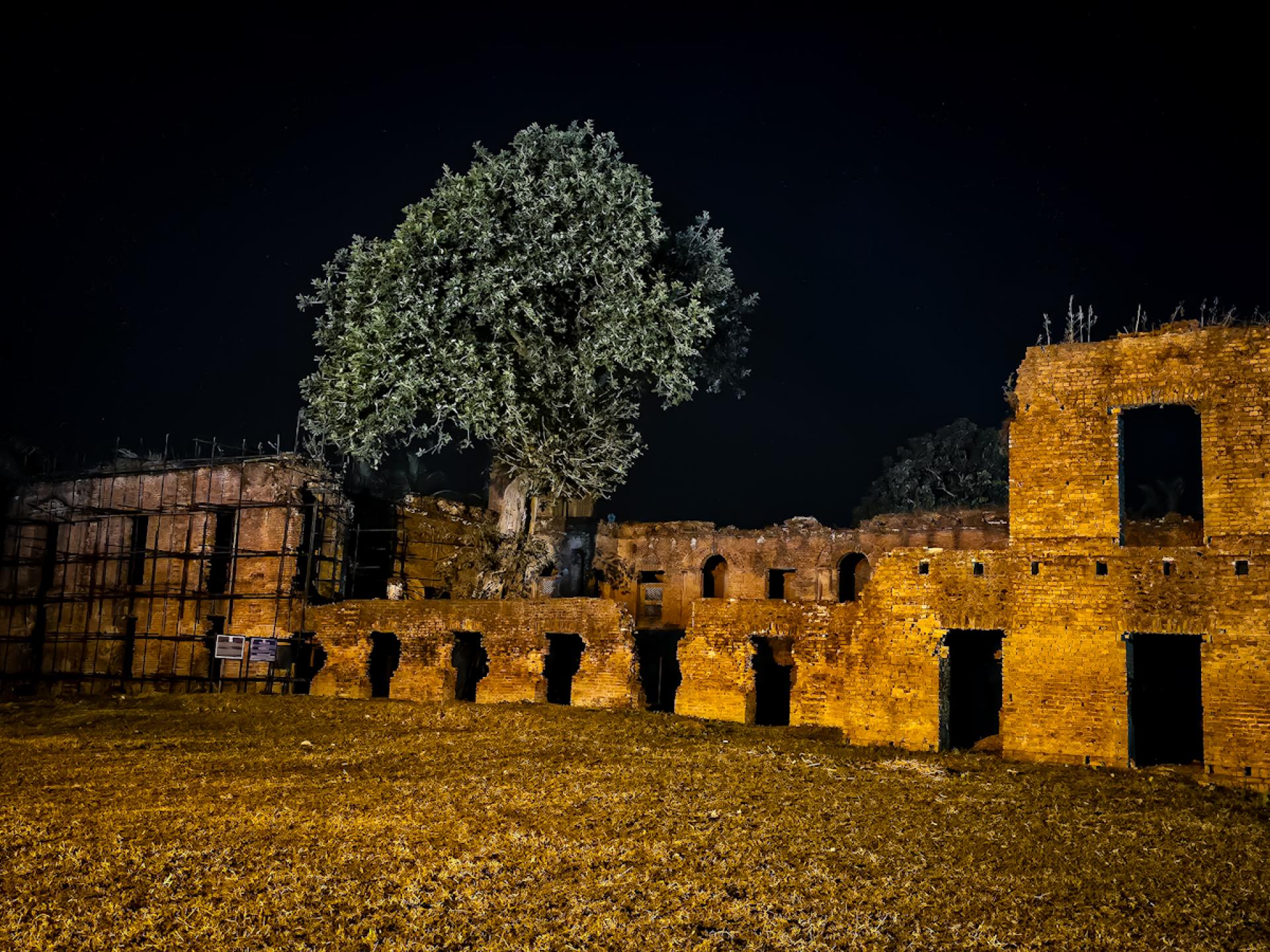 Global Photography Awards Winner - Homecoming: Roots