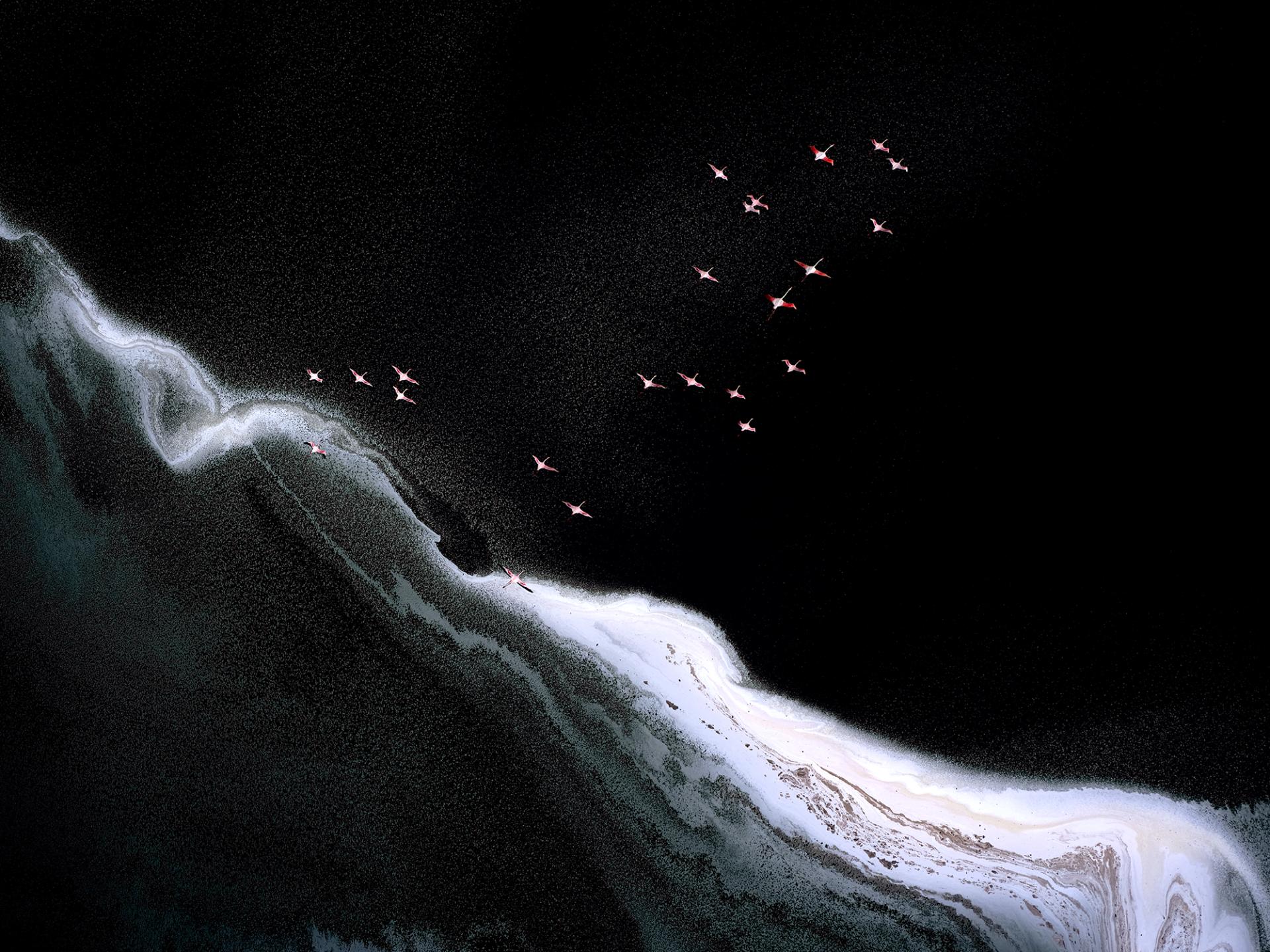 Global Photography Awards Winner - Flight of the pink flamingoes #4