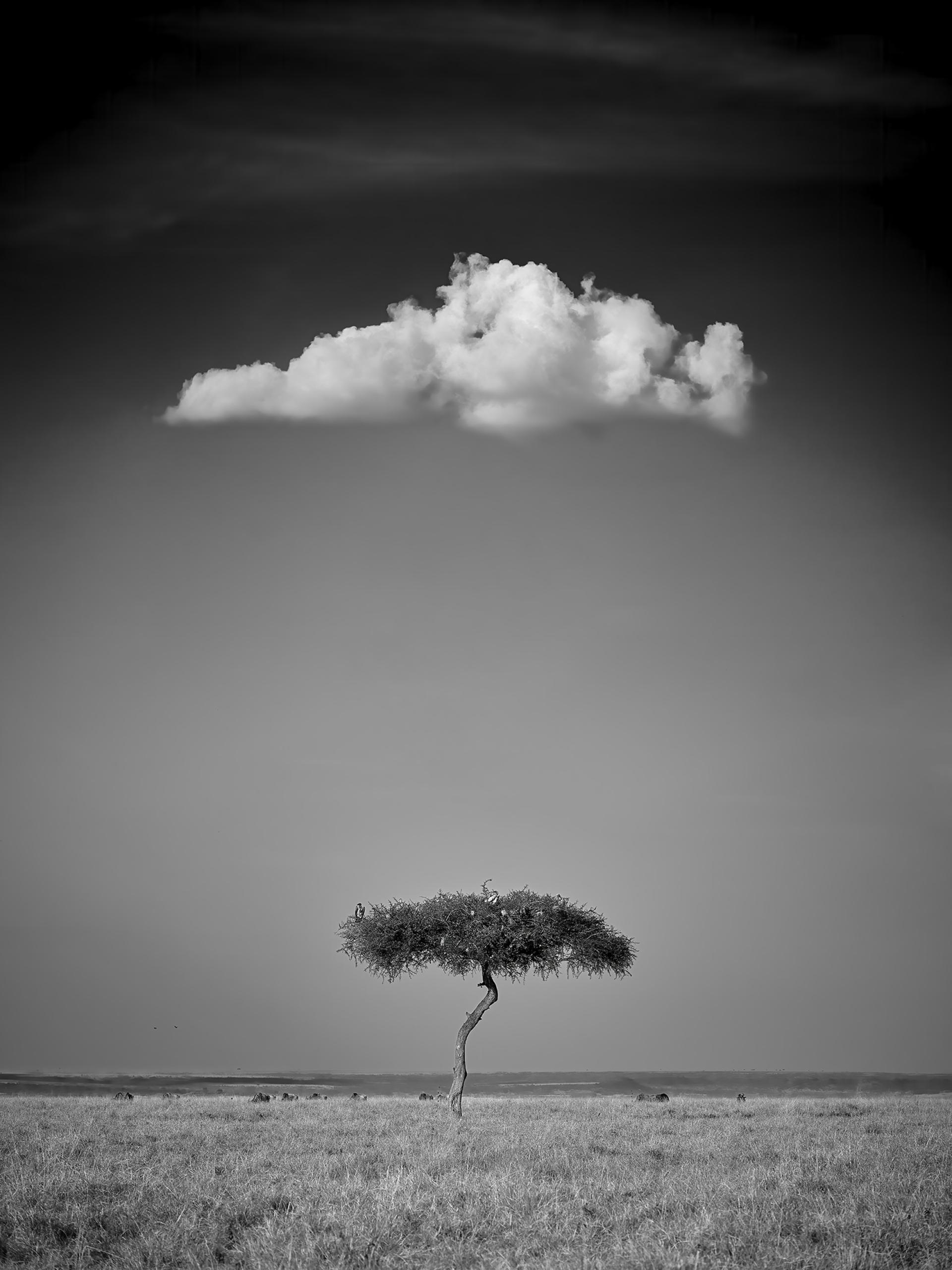 Global Photography Awards Winner - Nimbus