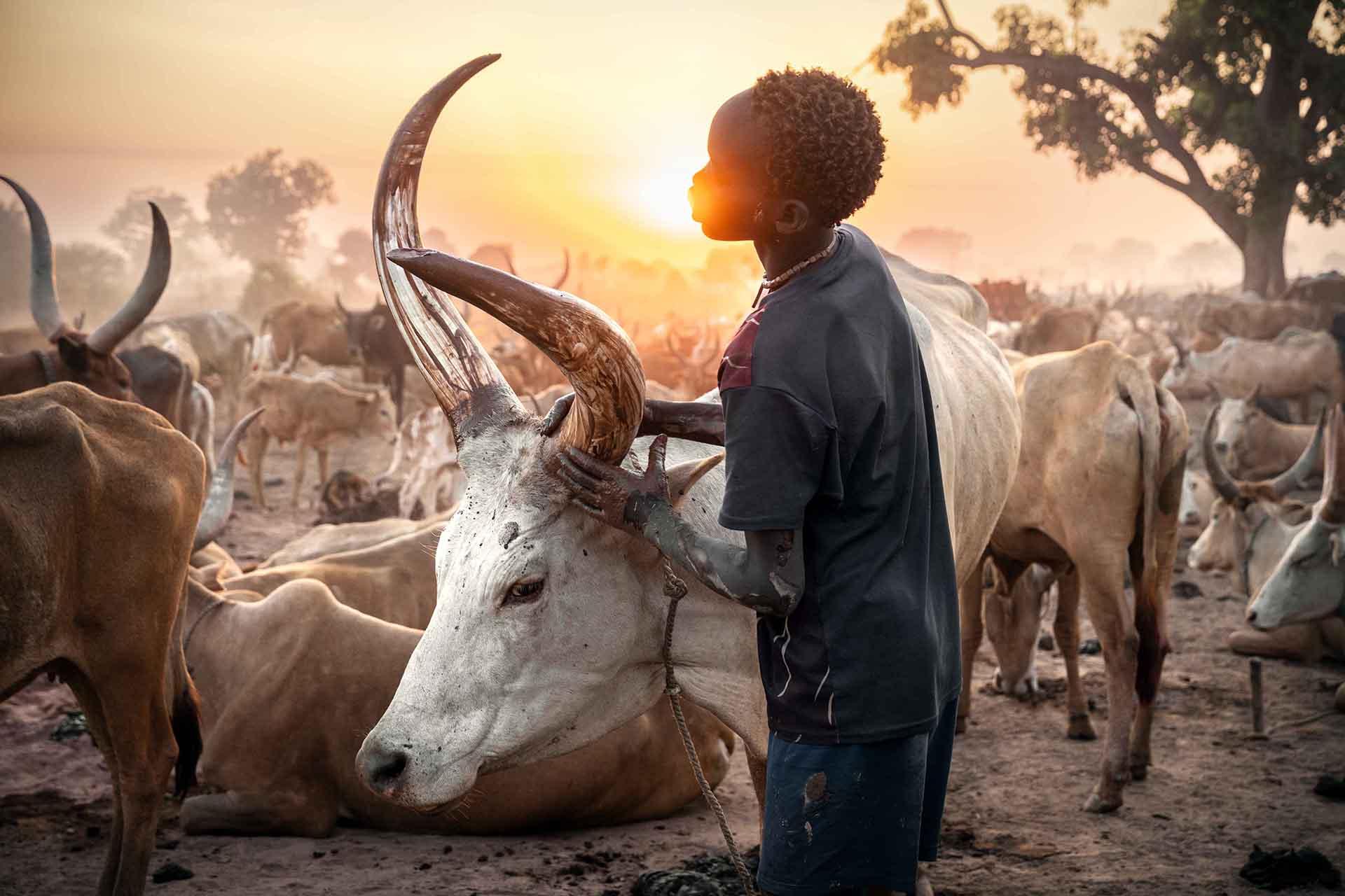Global Photography Awards Winner - Vanishing Worlds