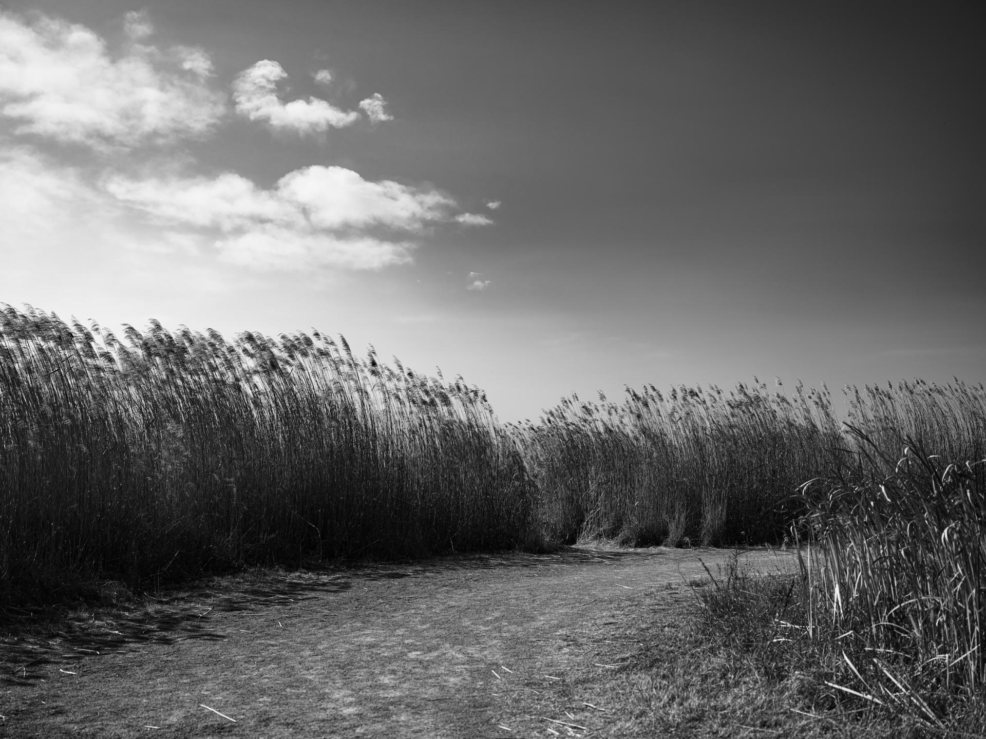 Global Photography Awards Winner - The Unreachable Horizon