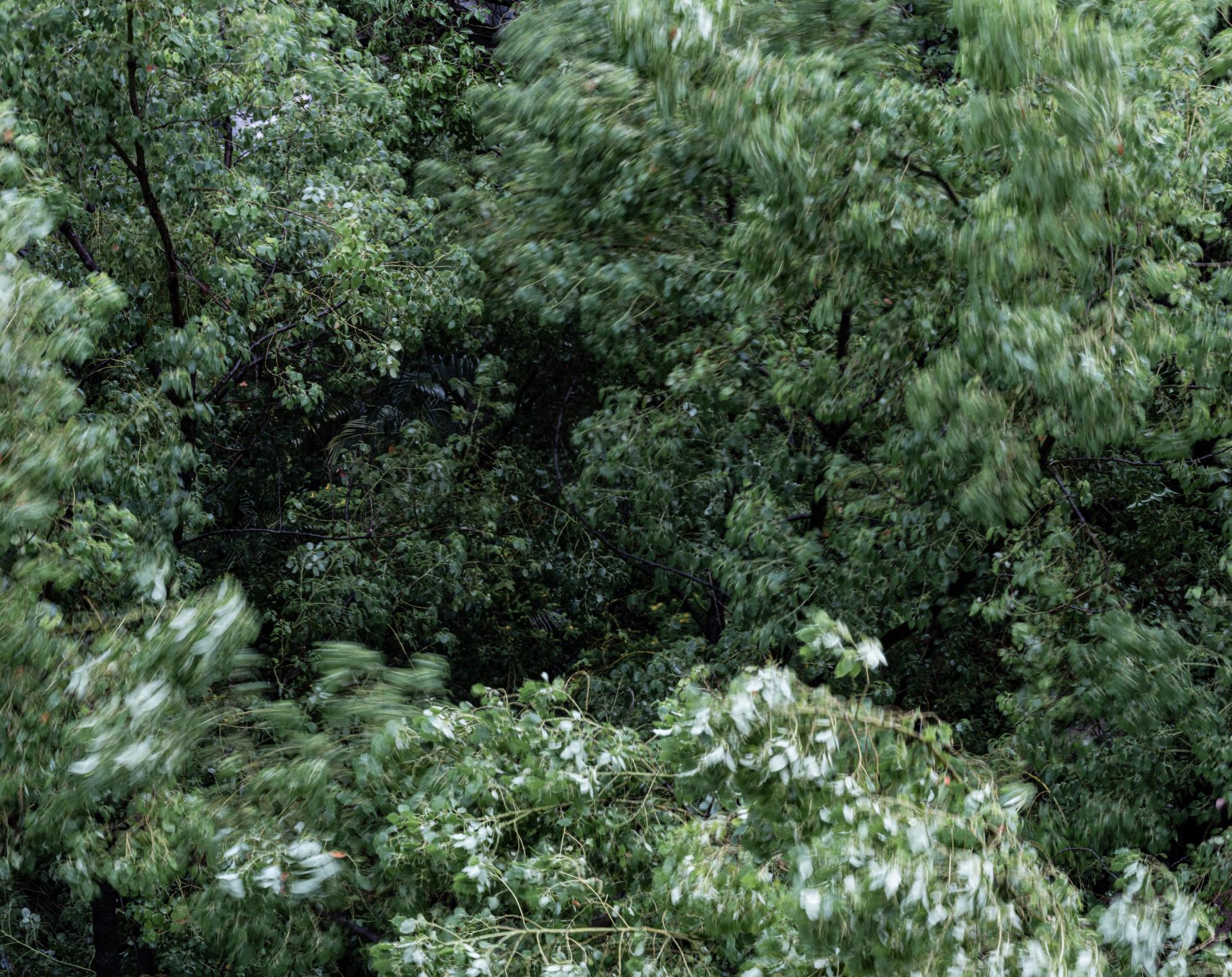 Global Photography Awards Winner - Between Wind and Rain
