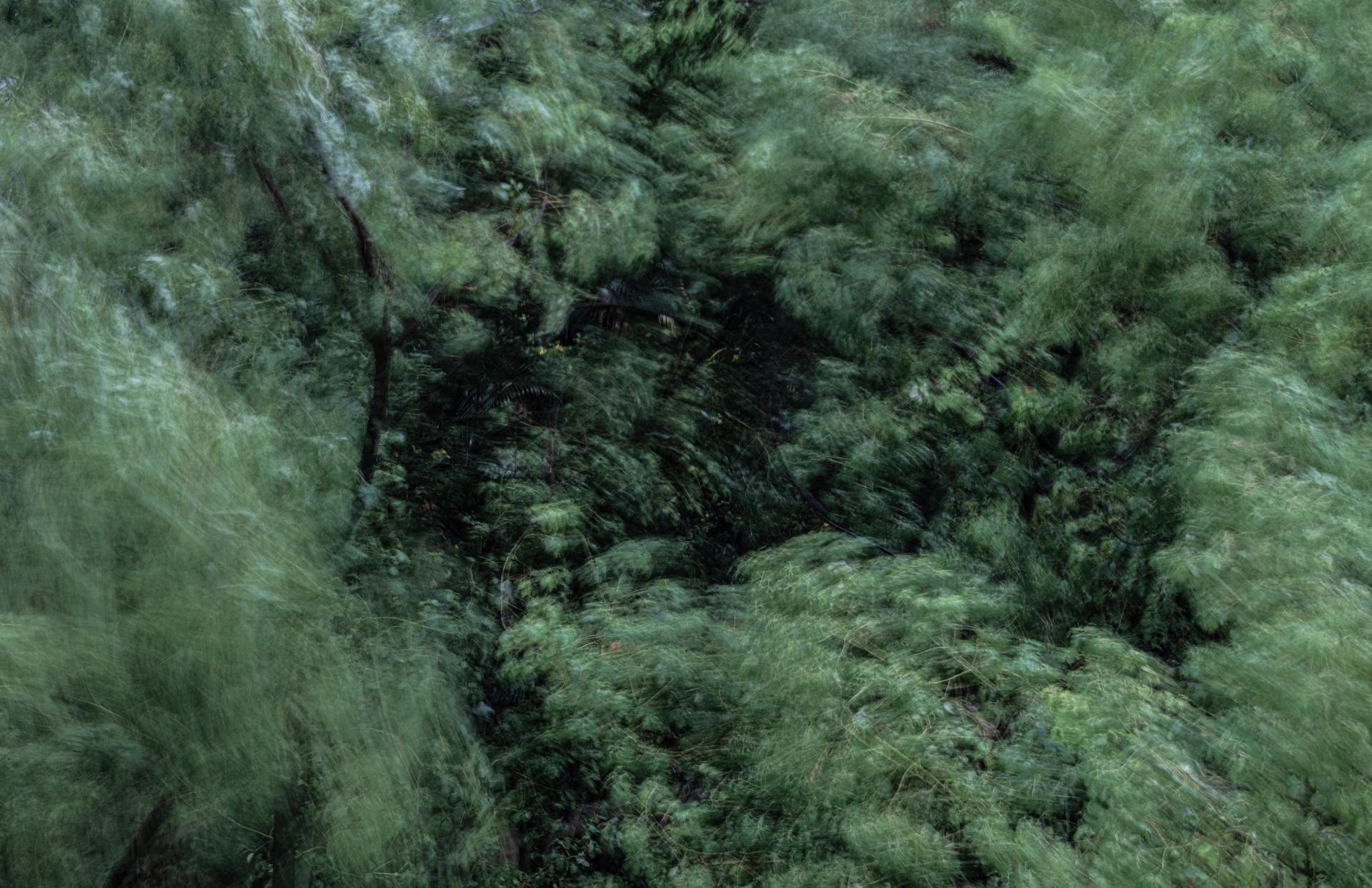 Global Photography Awards Winner - Between Wind and Rain