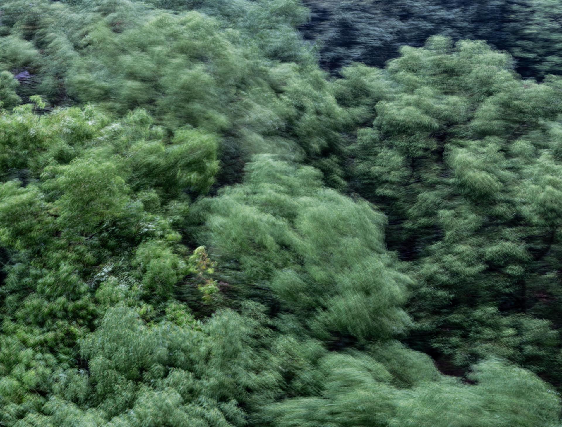 Global Photography Awards Winner - Between Wind and Rain
